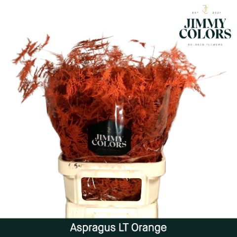 Aspa Lang Getopt Orange