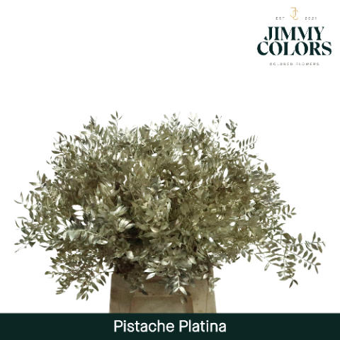 Pistache L50 Metallic Platina + Glitter
