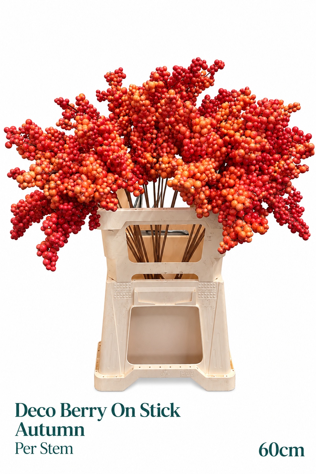 Kerst Art Ov 60L.cm
