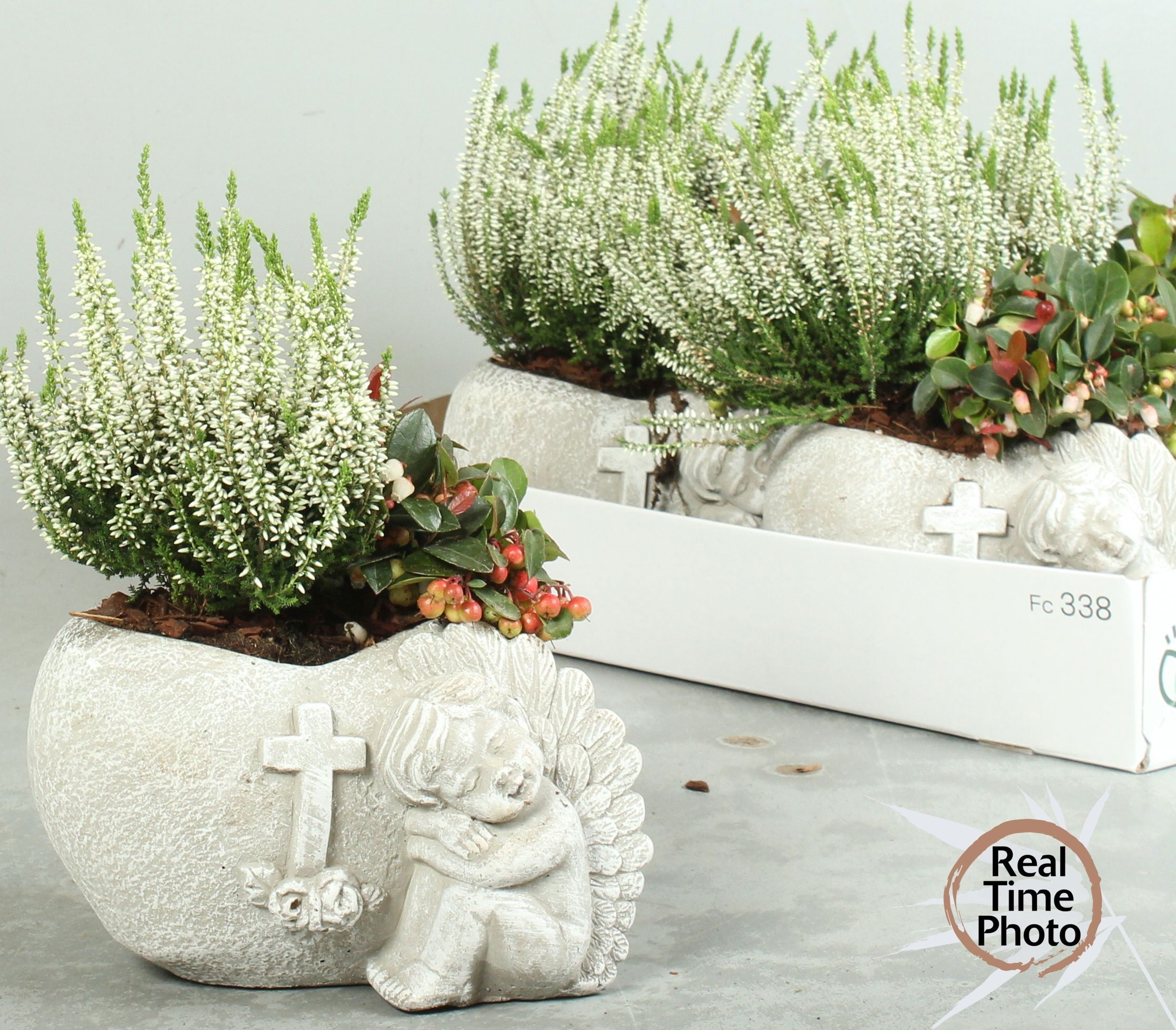Arr Tuinplanten 21P 35cm
