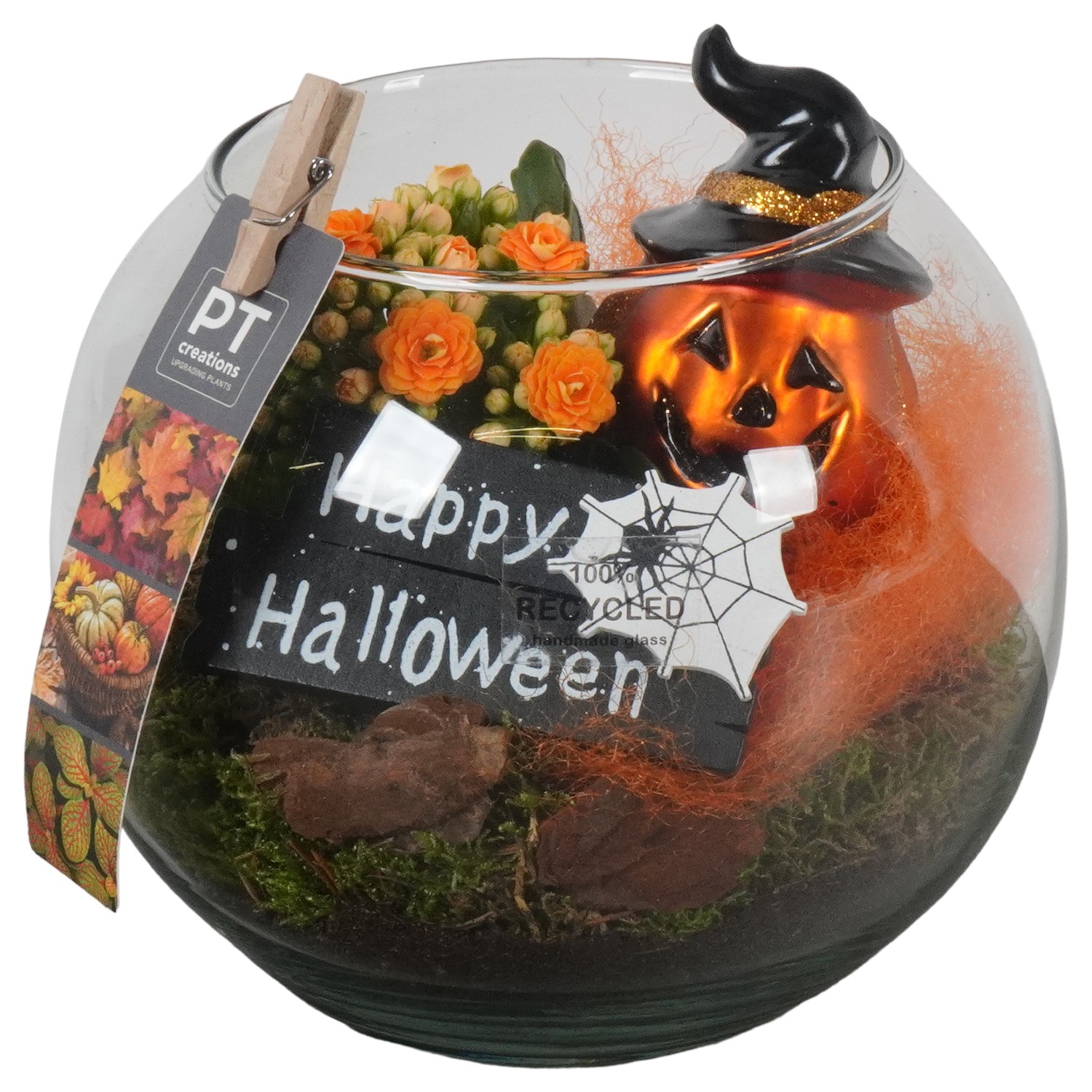 Picture of PTHL1911 Arrangement Halloween in glass ball P17 17cm