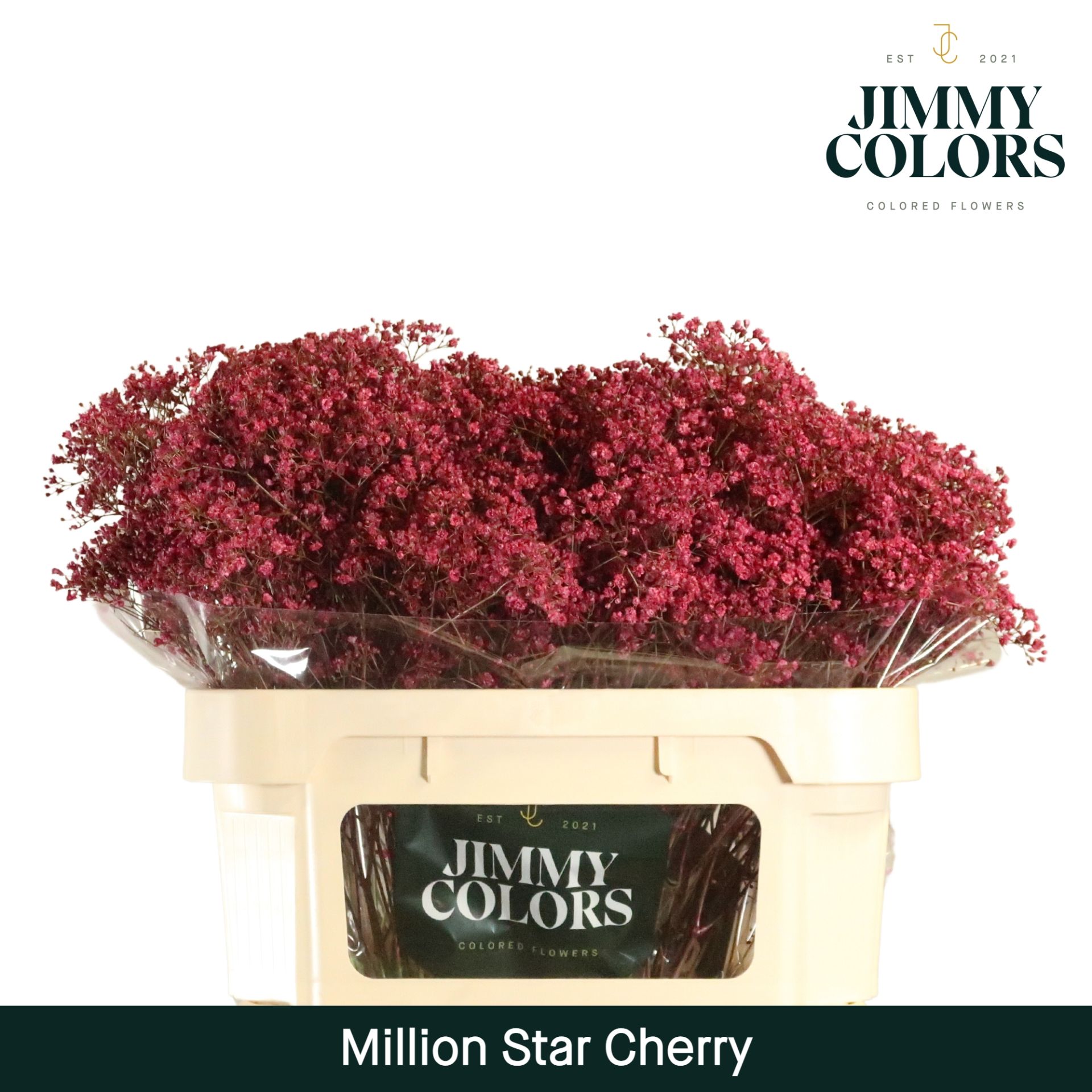 Gyps Million Star L70 Cherry