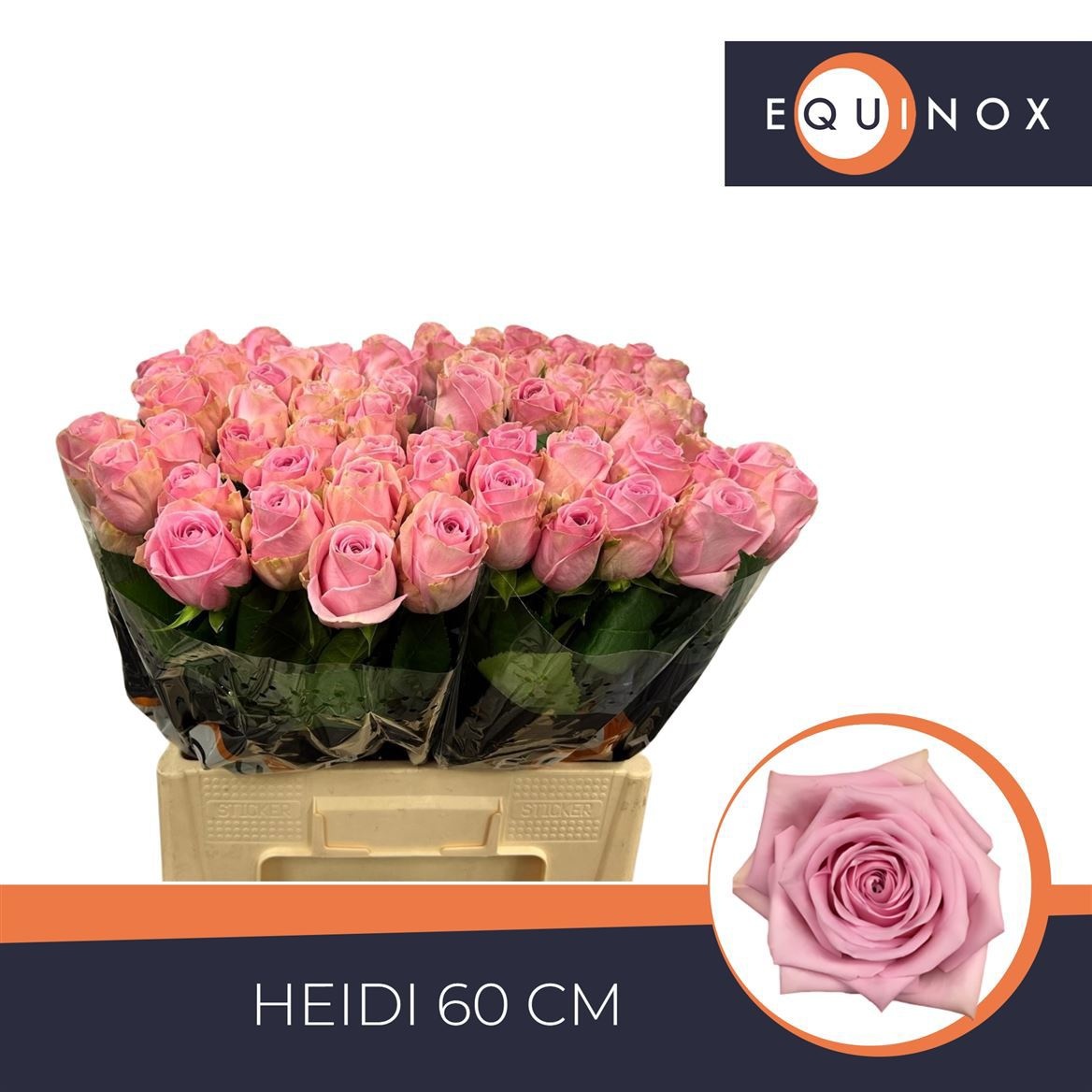 R Gr Heidi!