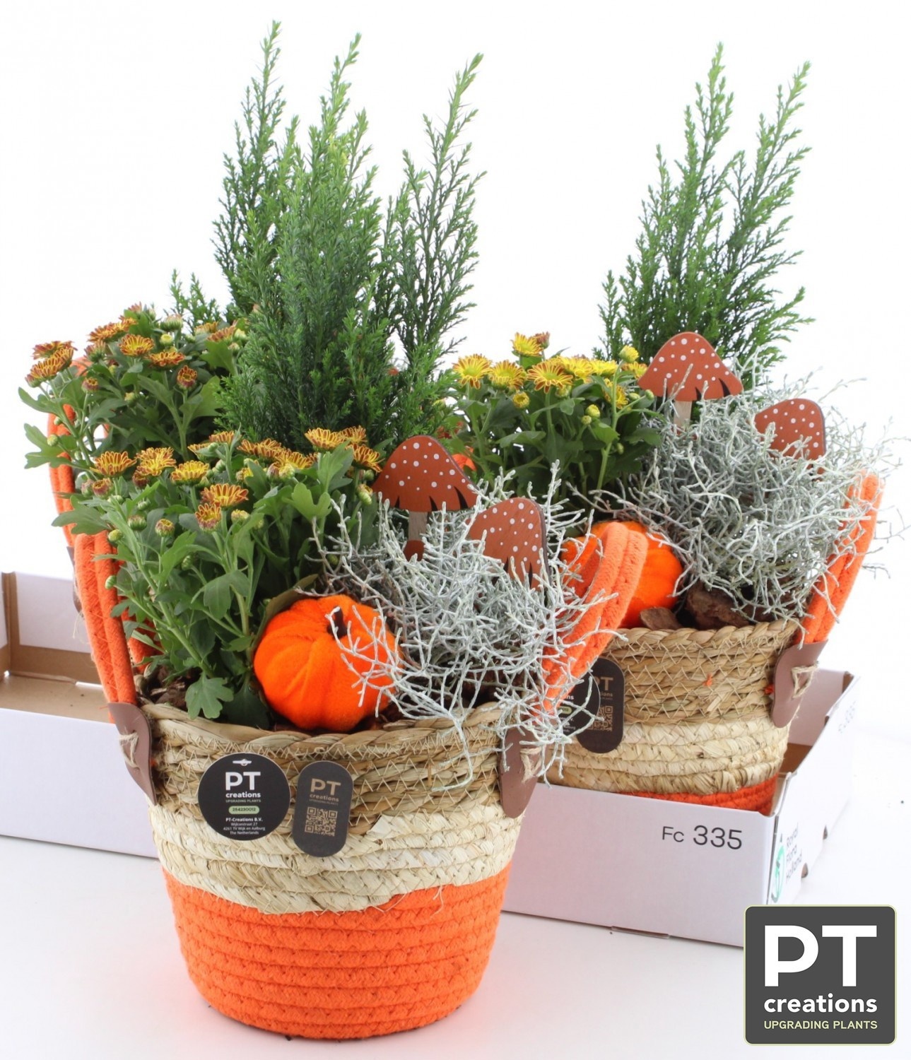 Arr Tuinplanten 20P 45cm 22bloei