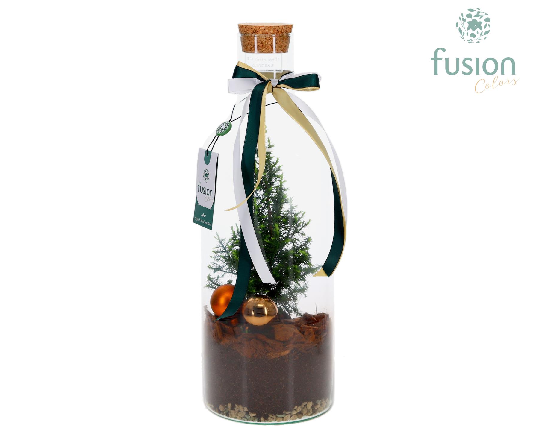 Picture of X-Mas arrangement Green Bottle Medium FC-24.0907FDH P15 43CM