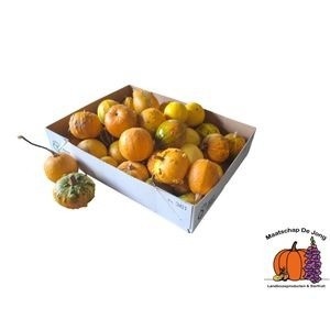 Cucurbita Pepo Mixed