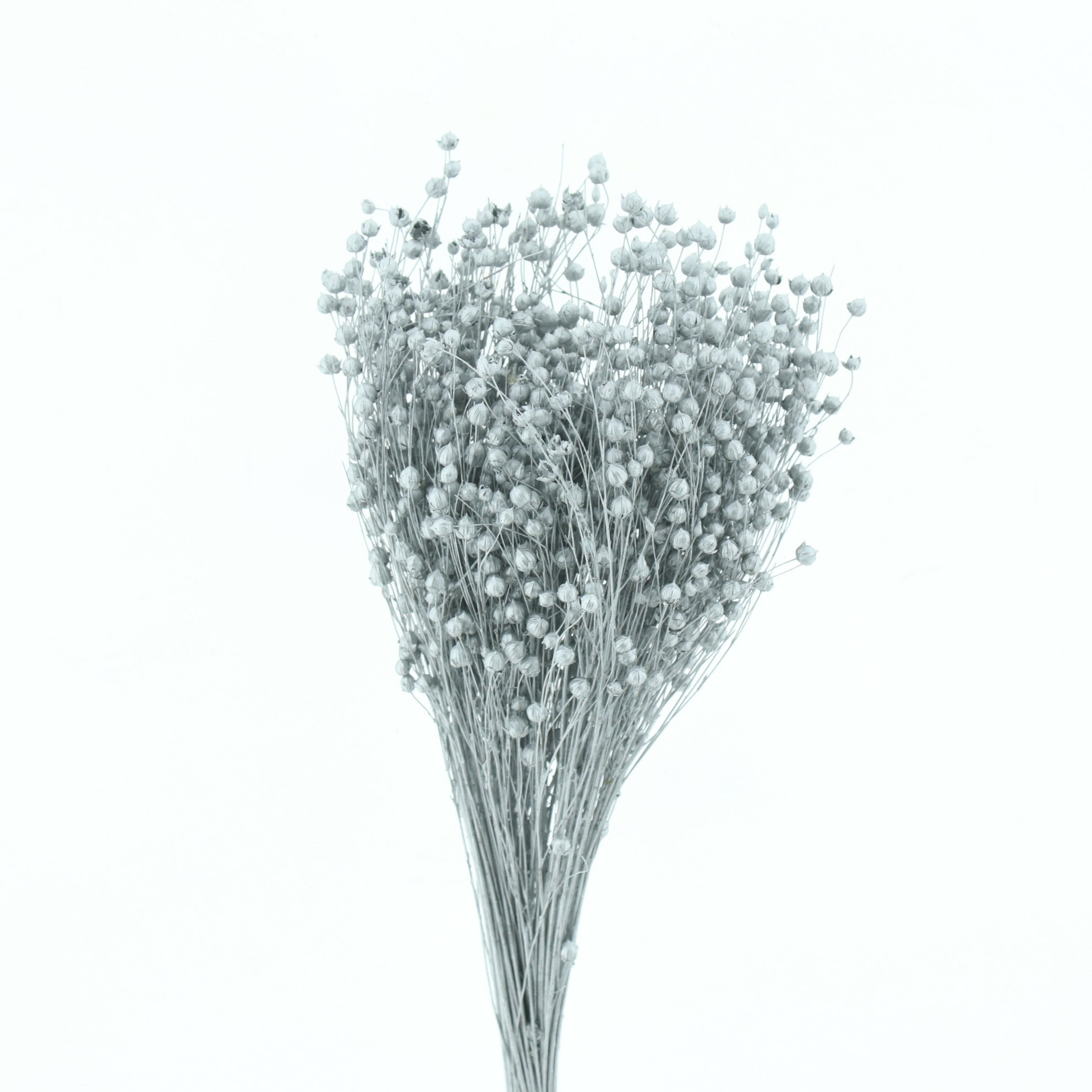 Dried Miscellaneous 50cm