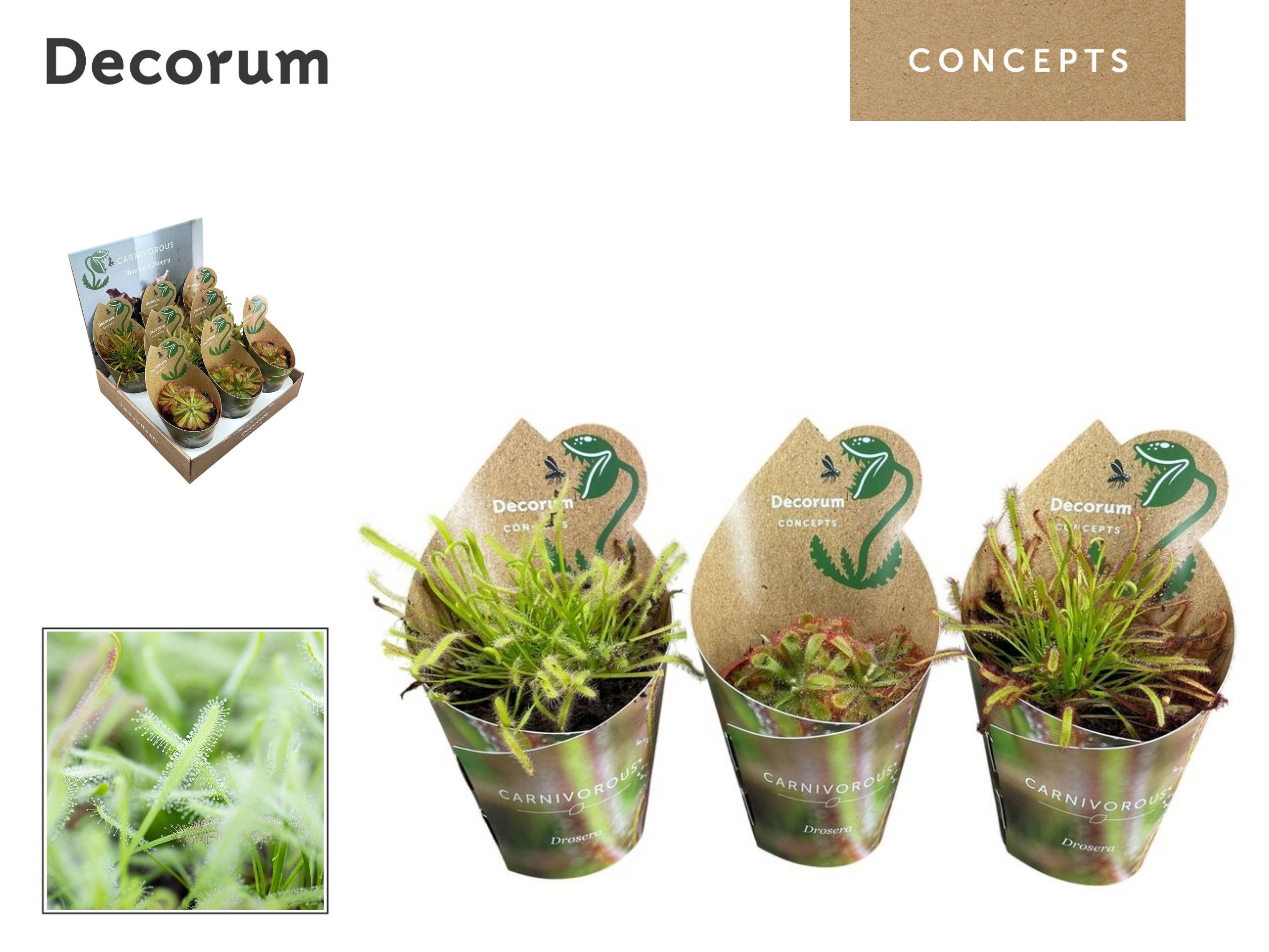 Vleesetende Planten 508P 20H