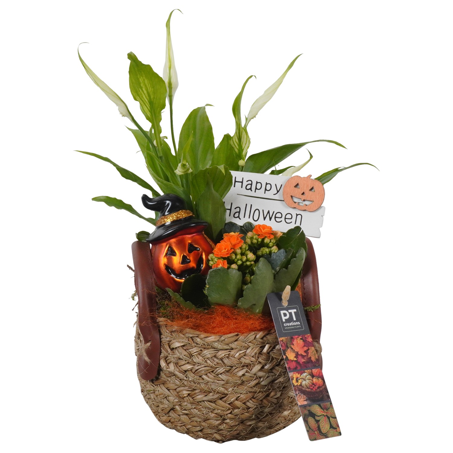 Picture of PTHL1929 Arrangement Halloween in grass basket P15 30CM