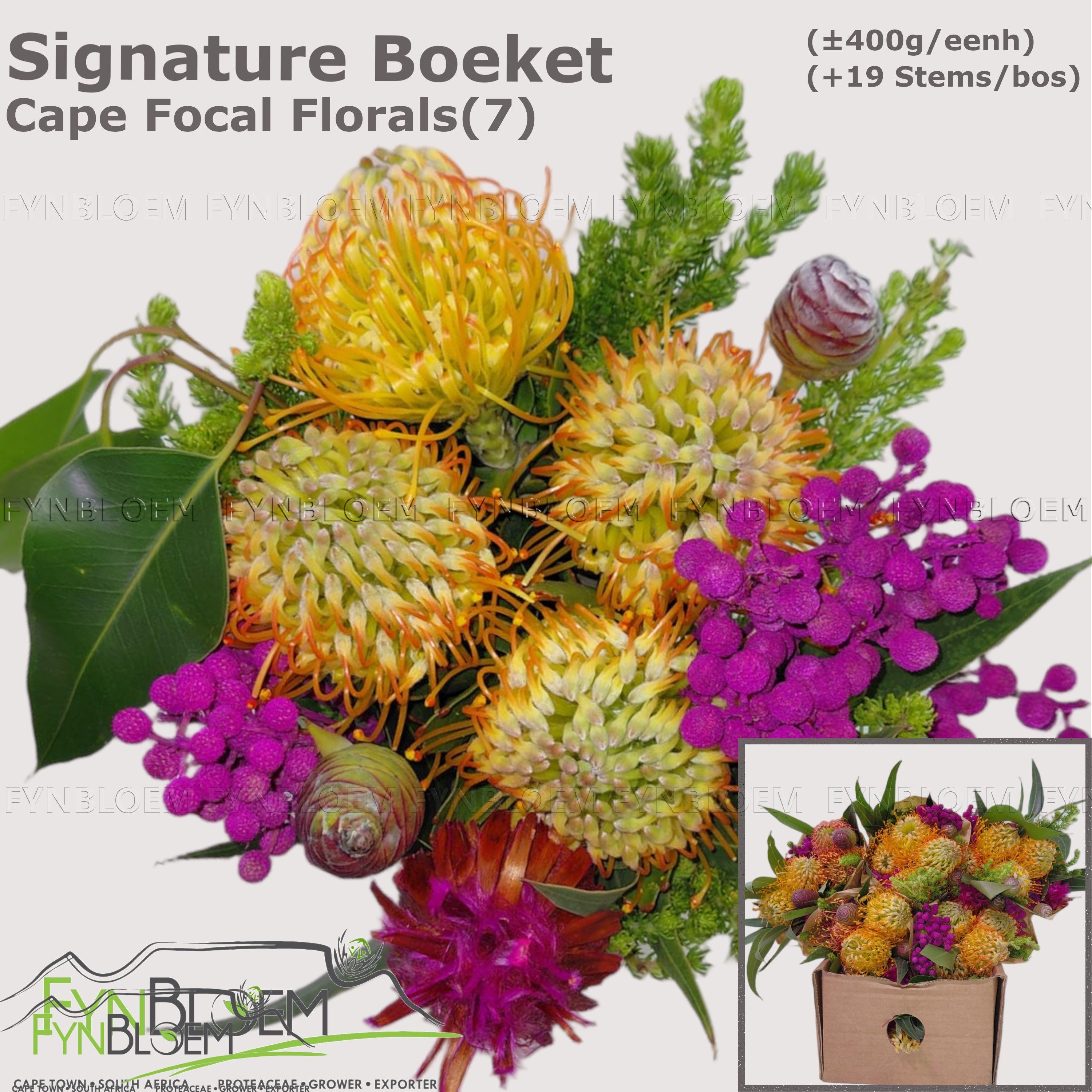 Protea Bouquet Per Bunch 40cm