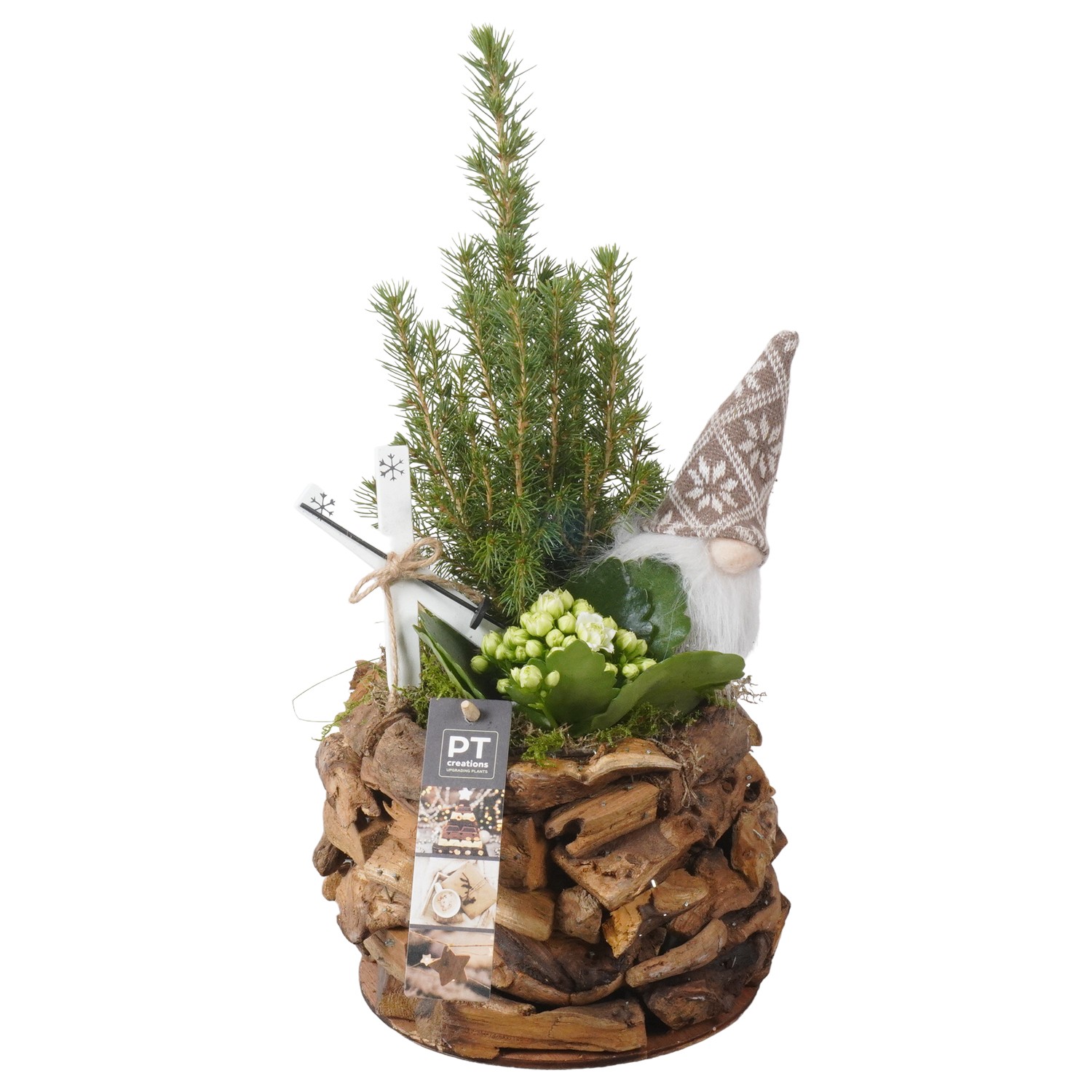 Picture of PTKB9310 Arrangement X-Mas in wooden pot P17 38CM