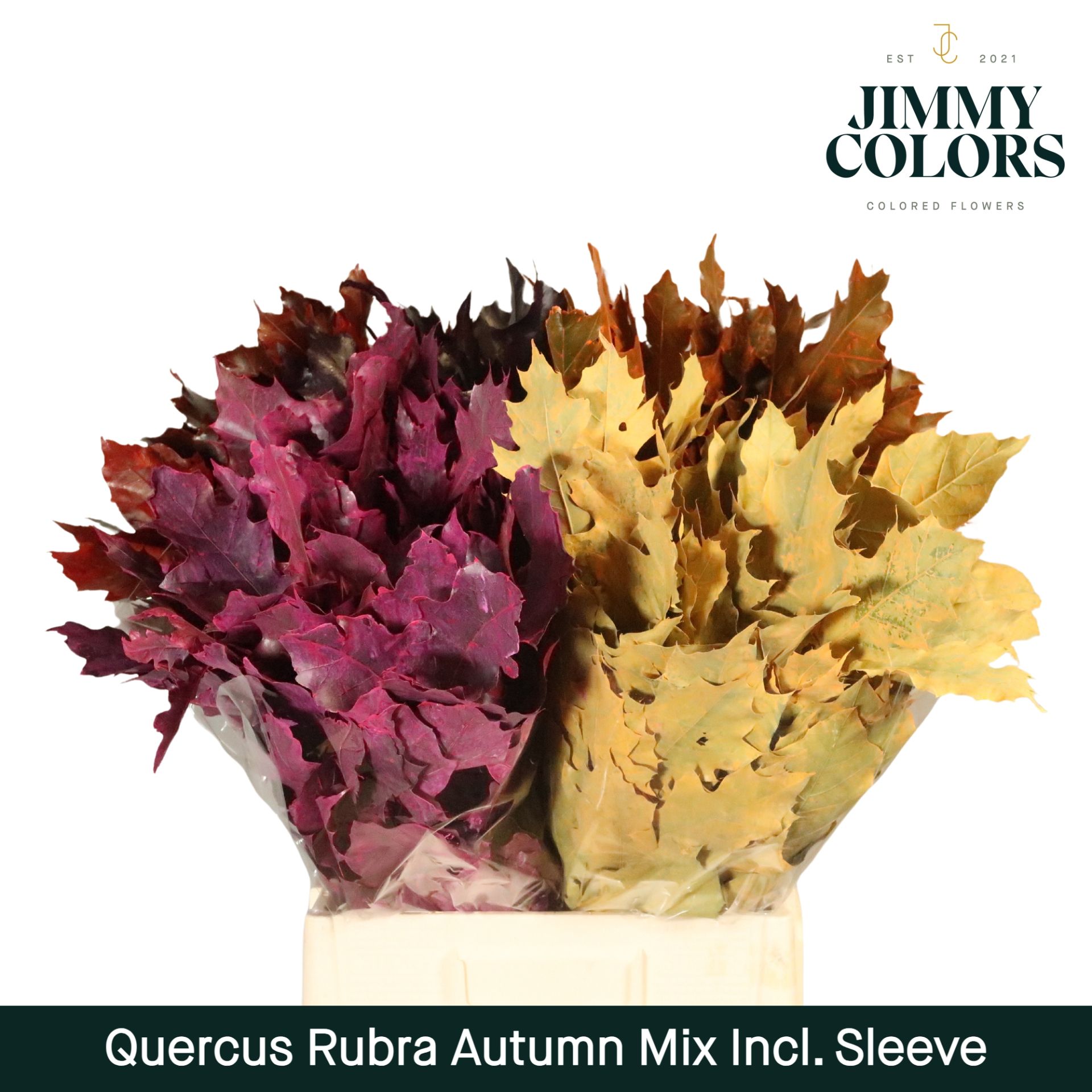 Quercus Rubra Sleeve L60 Herfst Mix
