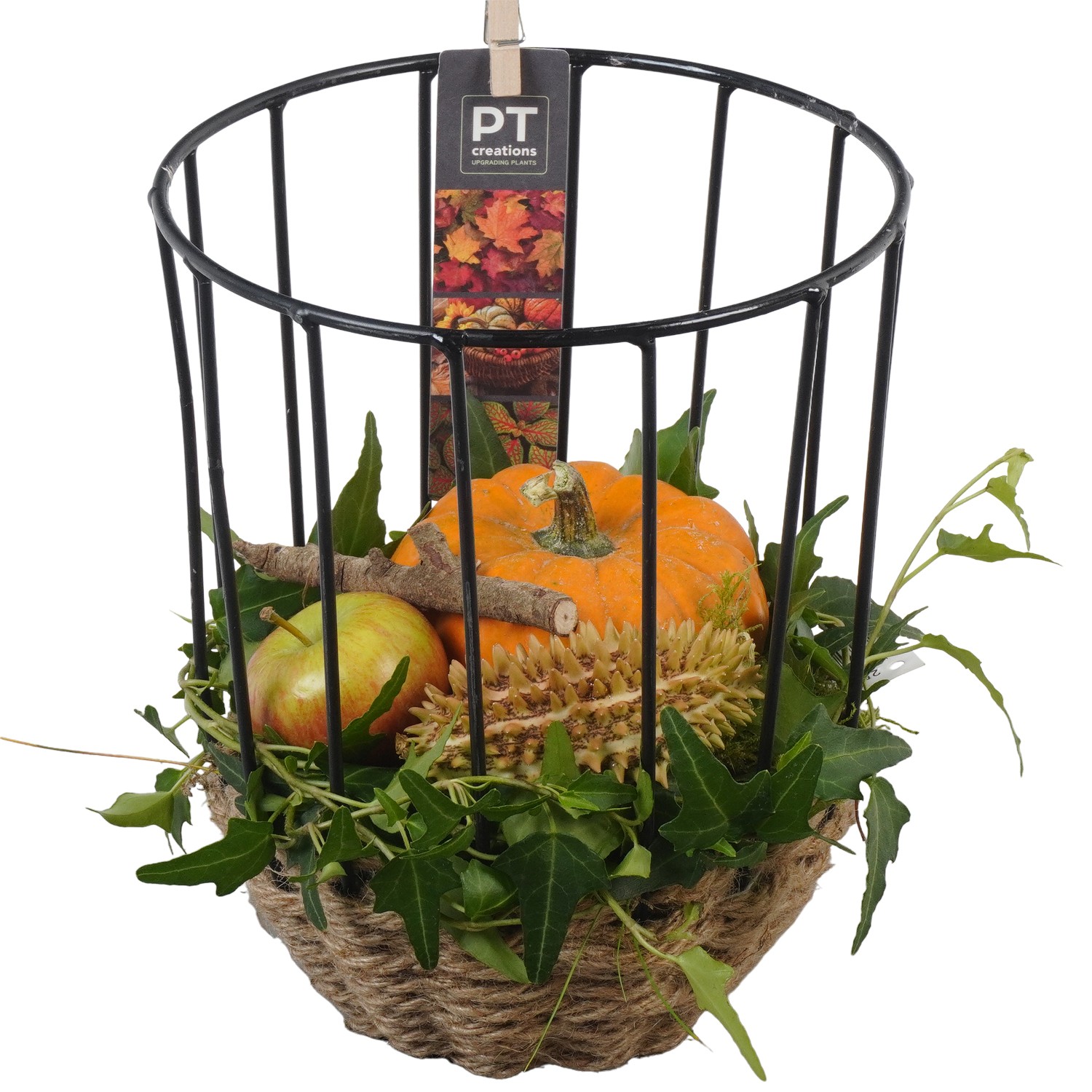 Picture of PTKBH5324 Arrangement Autumn Fruits in metal rope basket P16 24CM