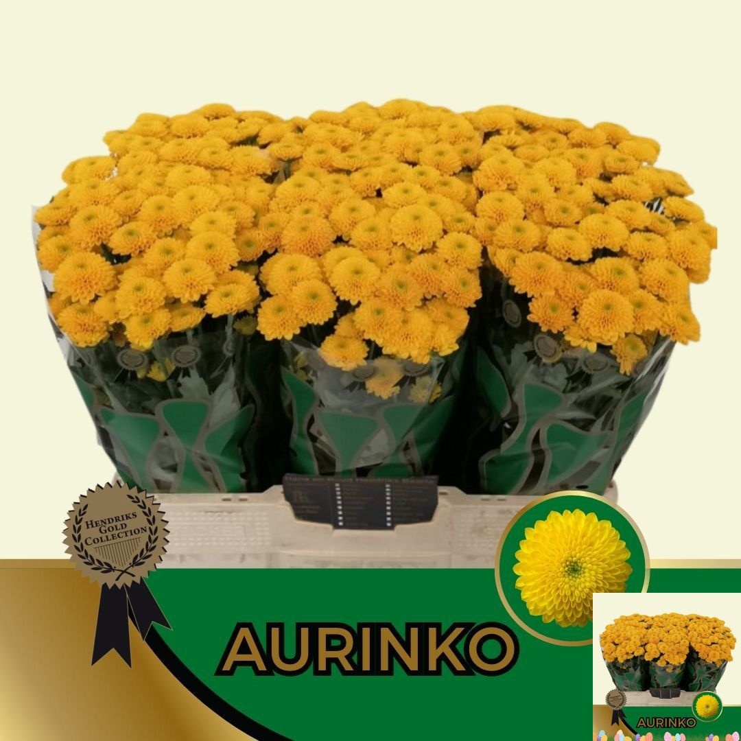 Chr San Aaa Aurinko