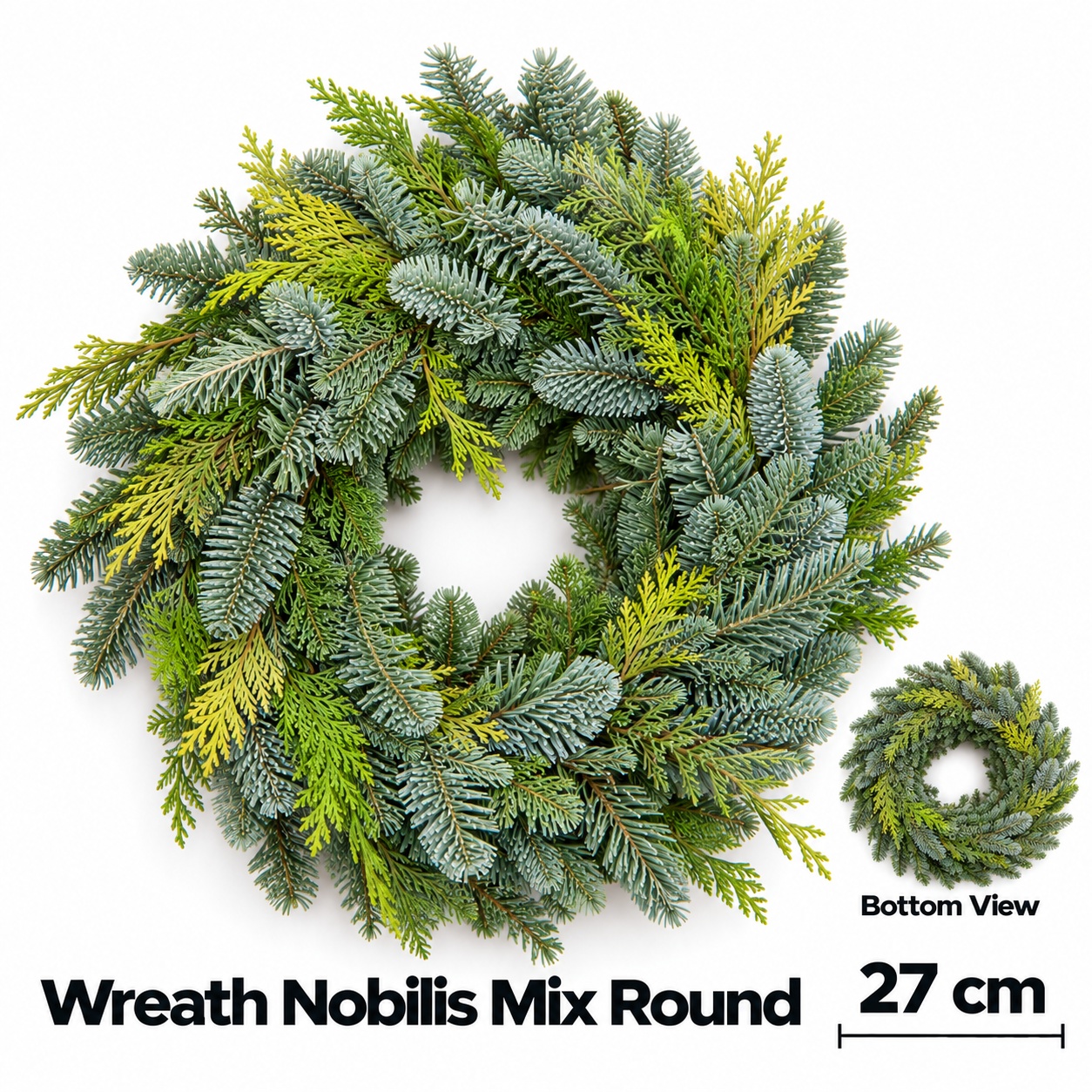 Abies Nobilis Blauw 27L.cm
