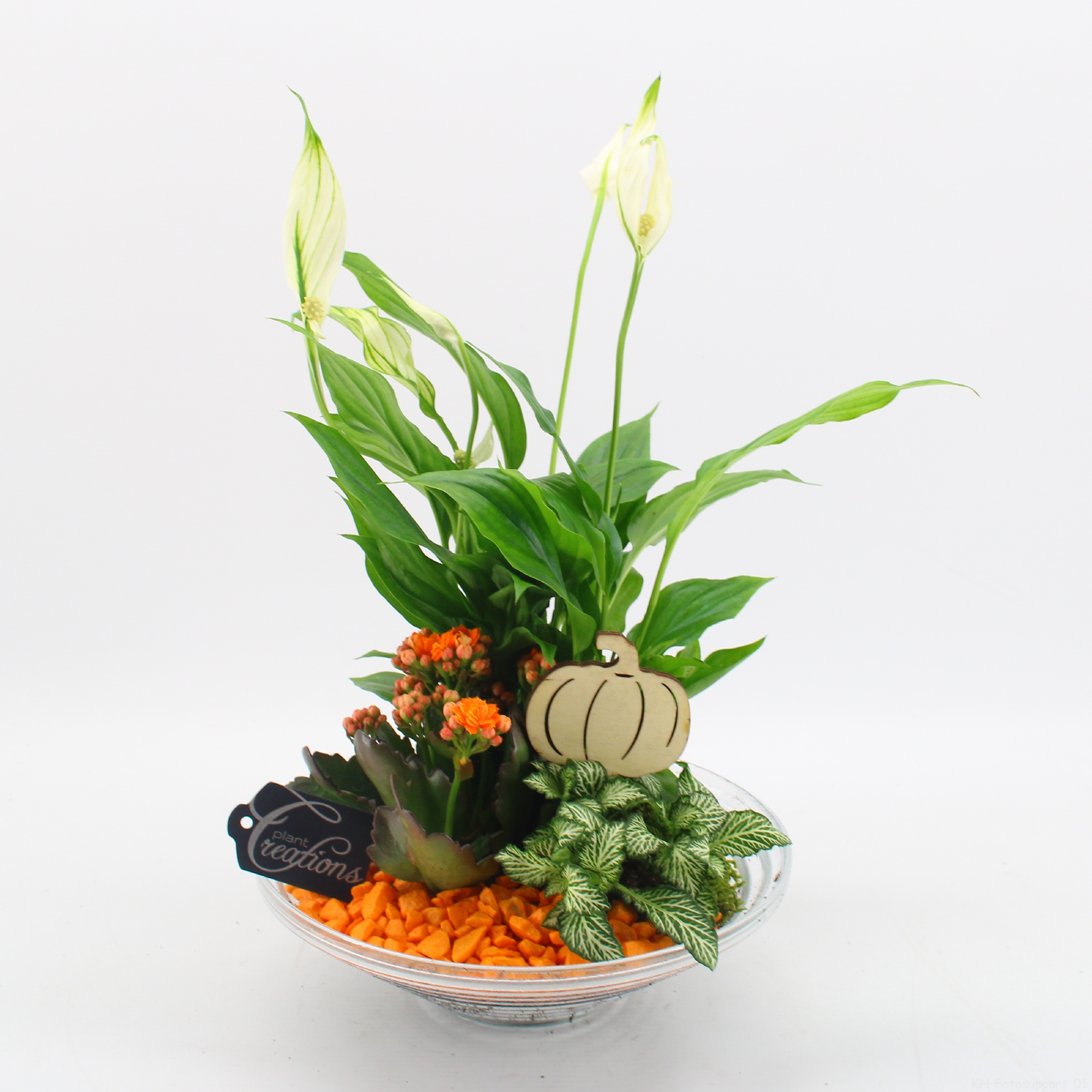 Picture of Arrangement indoor Autumn Fundamentals BHCR-2402 P25 35CM