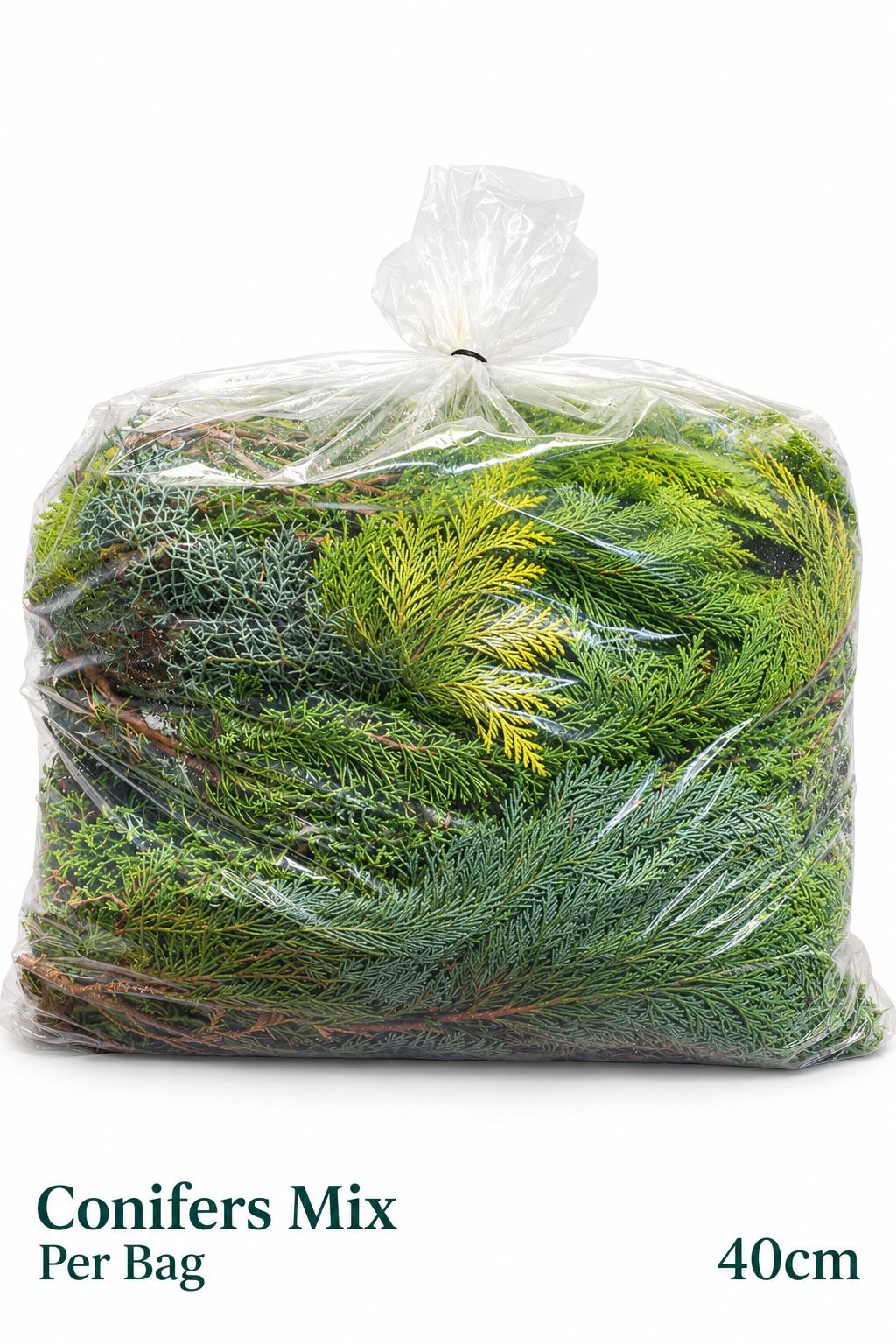 Coniferen Snijgroen 50L.cm