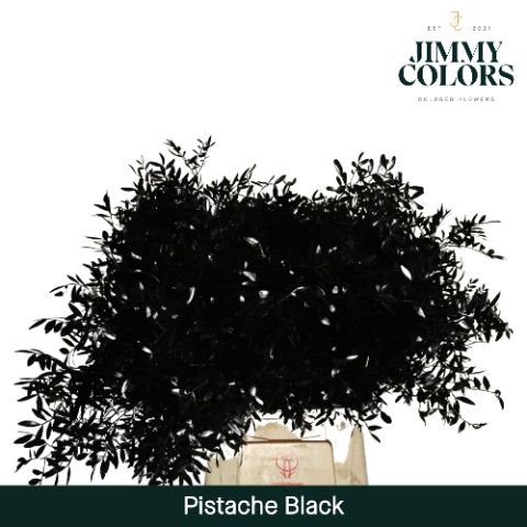 Pistache L50 Black