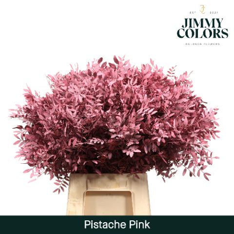 Pistache L50 Pink