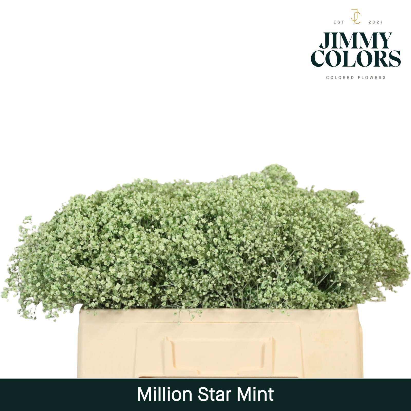 Gyps Million Star L50 Mint