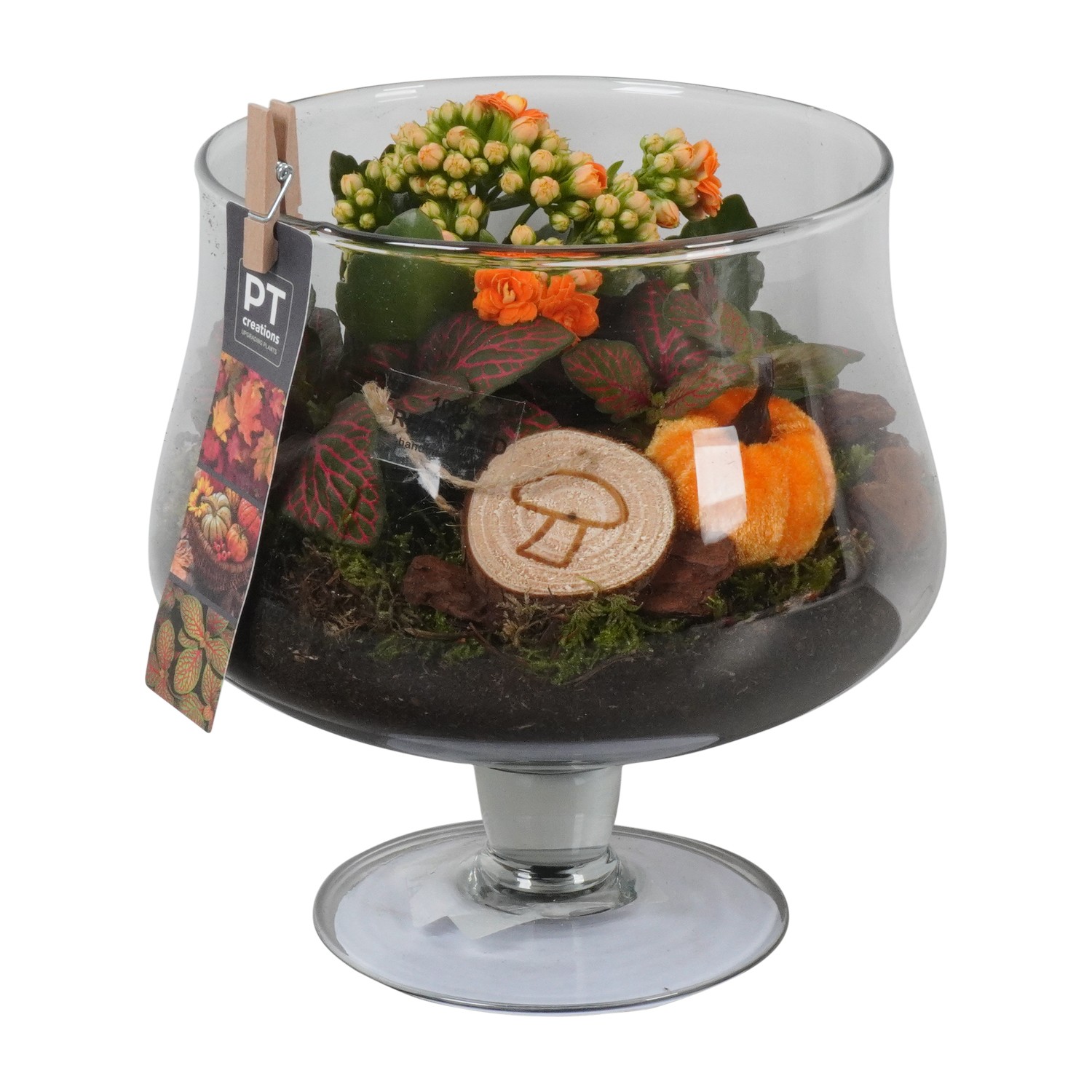 Picture of PTHG1758 Arrangement Autumn in cognac glass P18 21CM