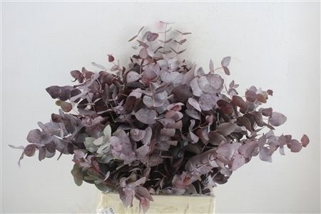 Snijbloemen Klb H%