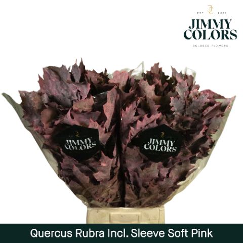 Quercus Rubra Sleeve L80 Soft Pink