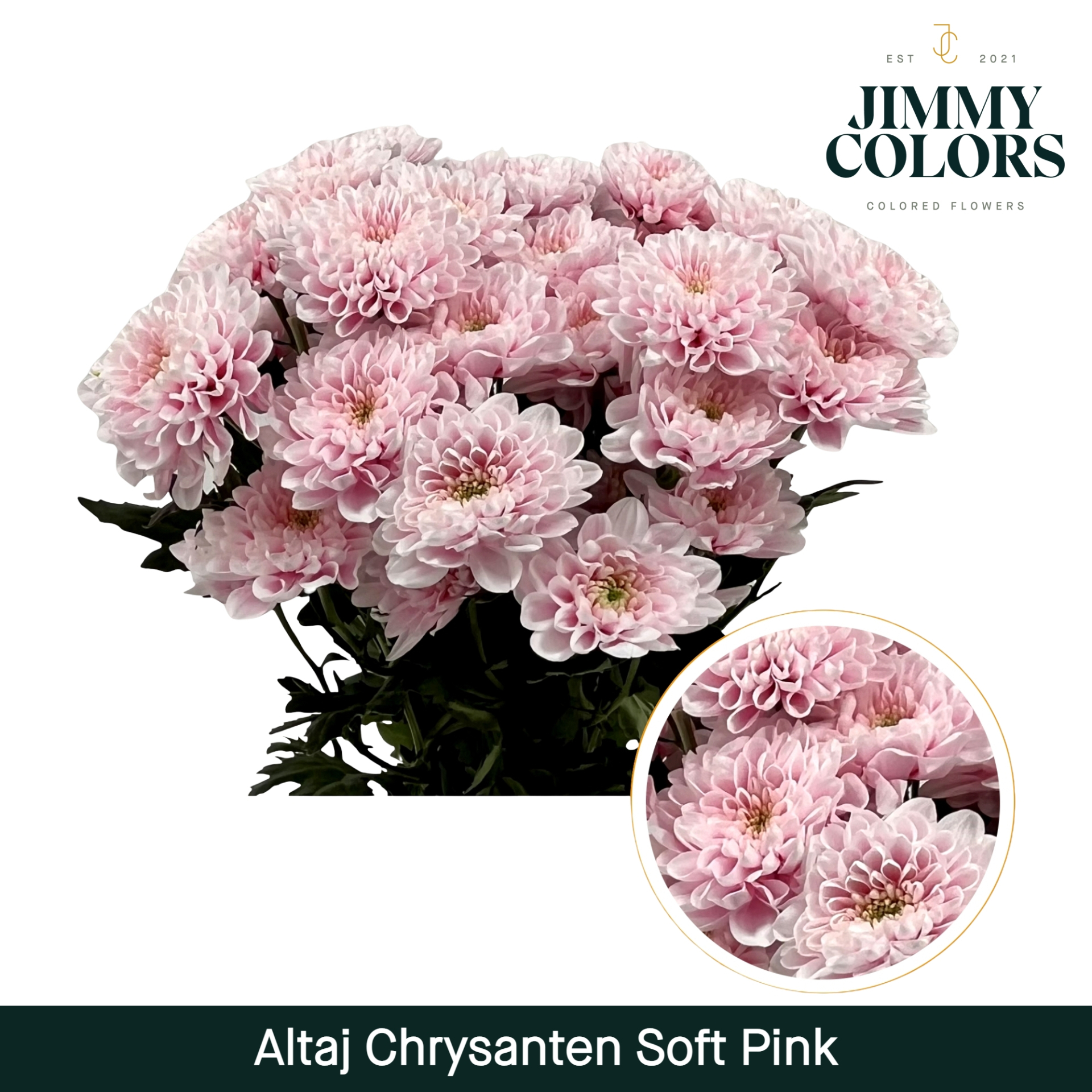 Chr T Altaj Soft Pink