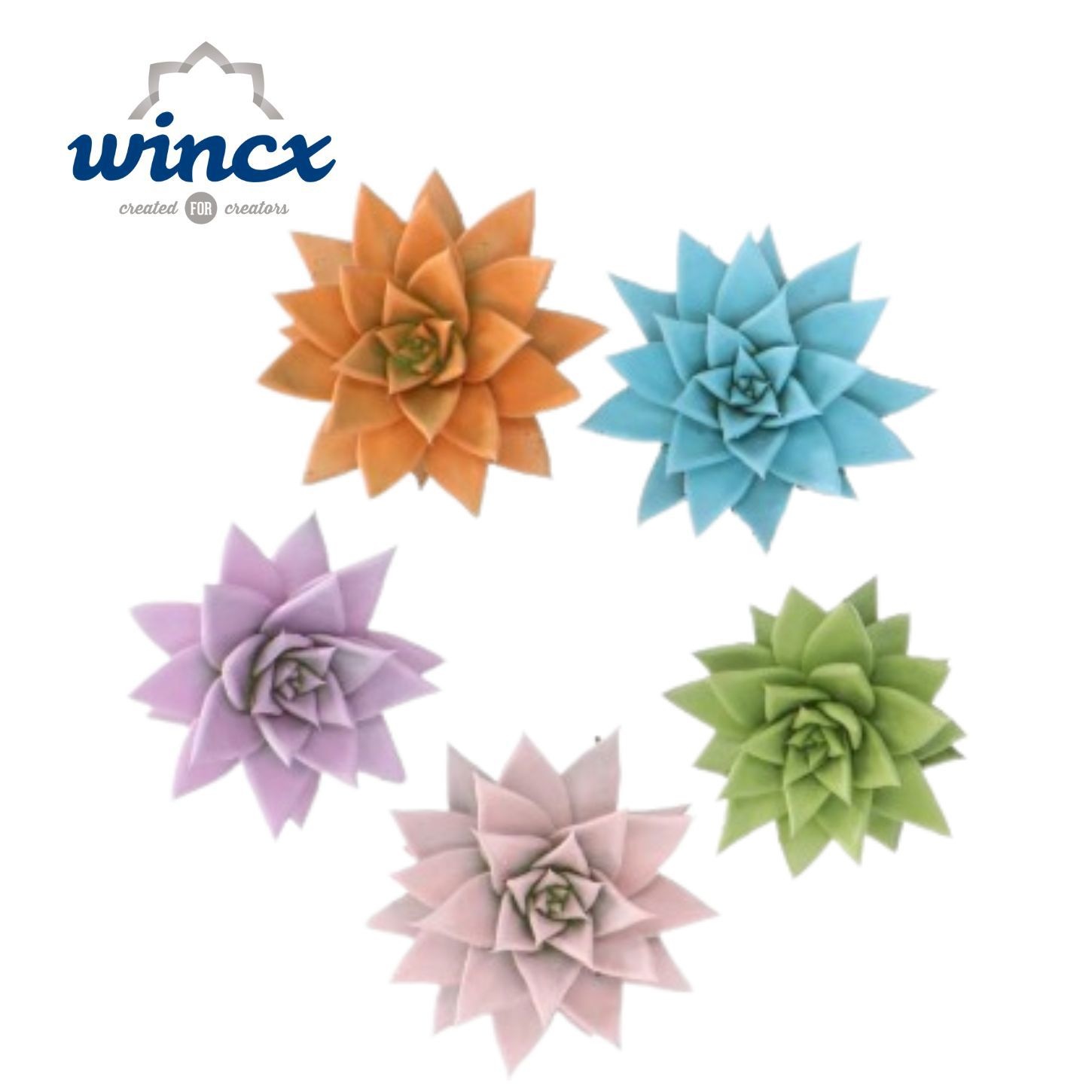 Echeveria Paint Pastel Mix (wincx) Cutfl