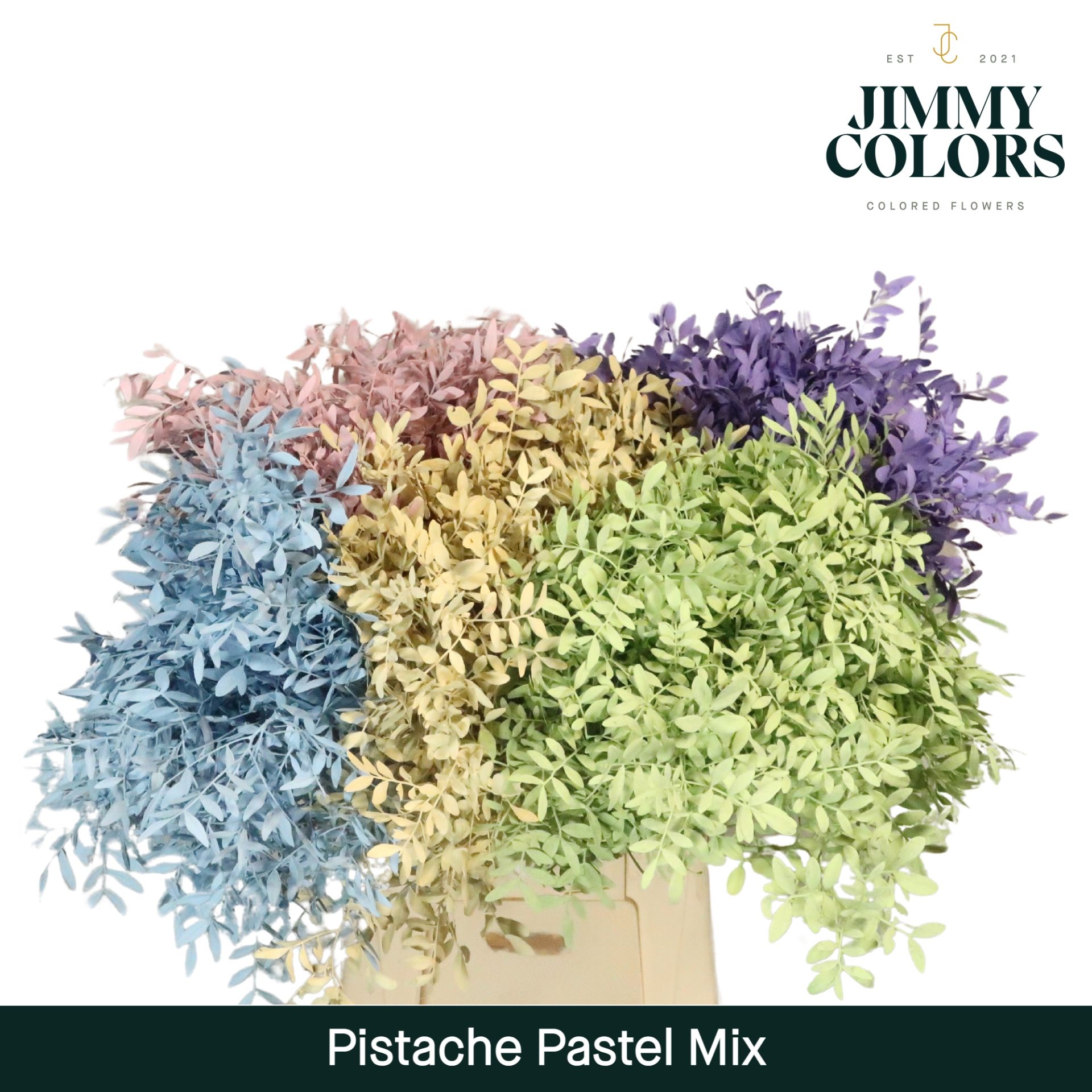 Pistache L50 Pastel Mix
