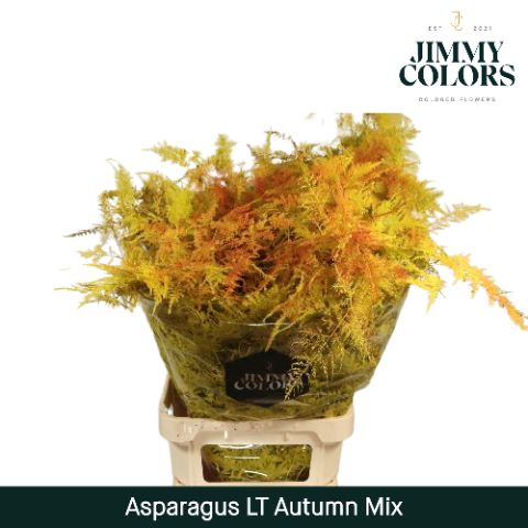 Aspa Lang Getopt Autumn Mix