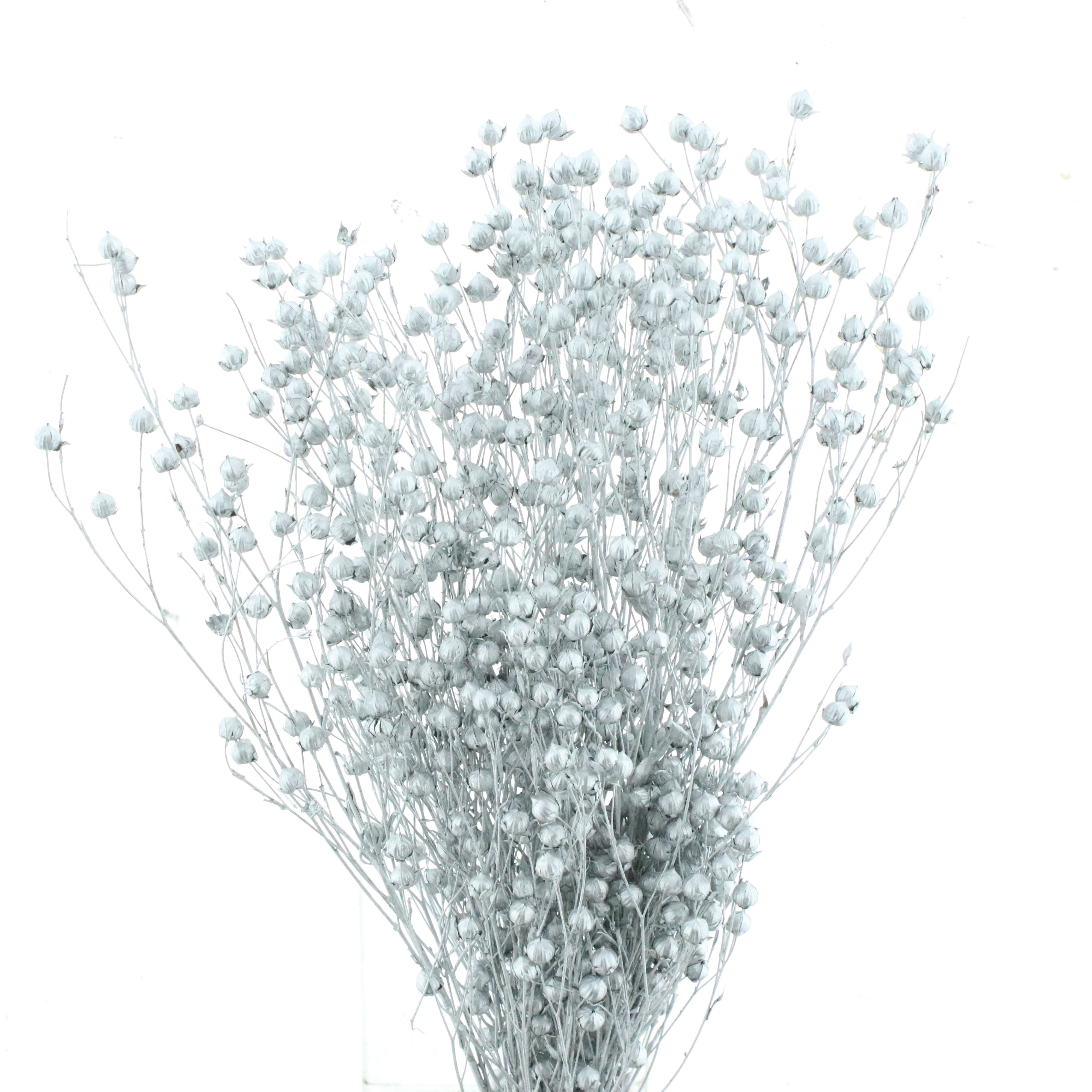 Dried Miscellaneous 50cm
