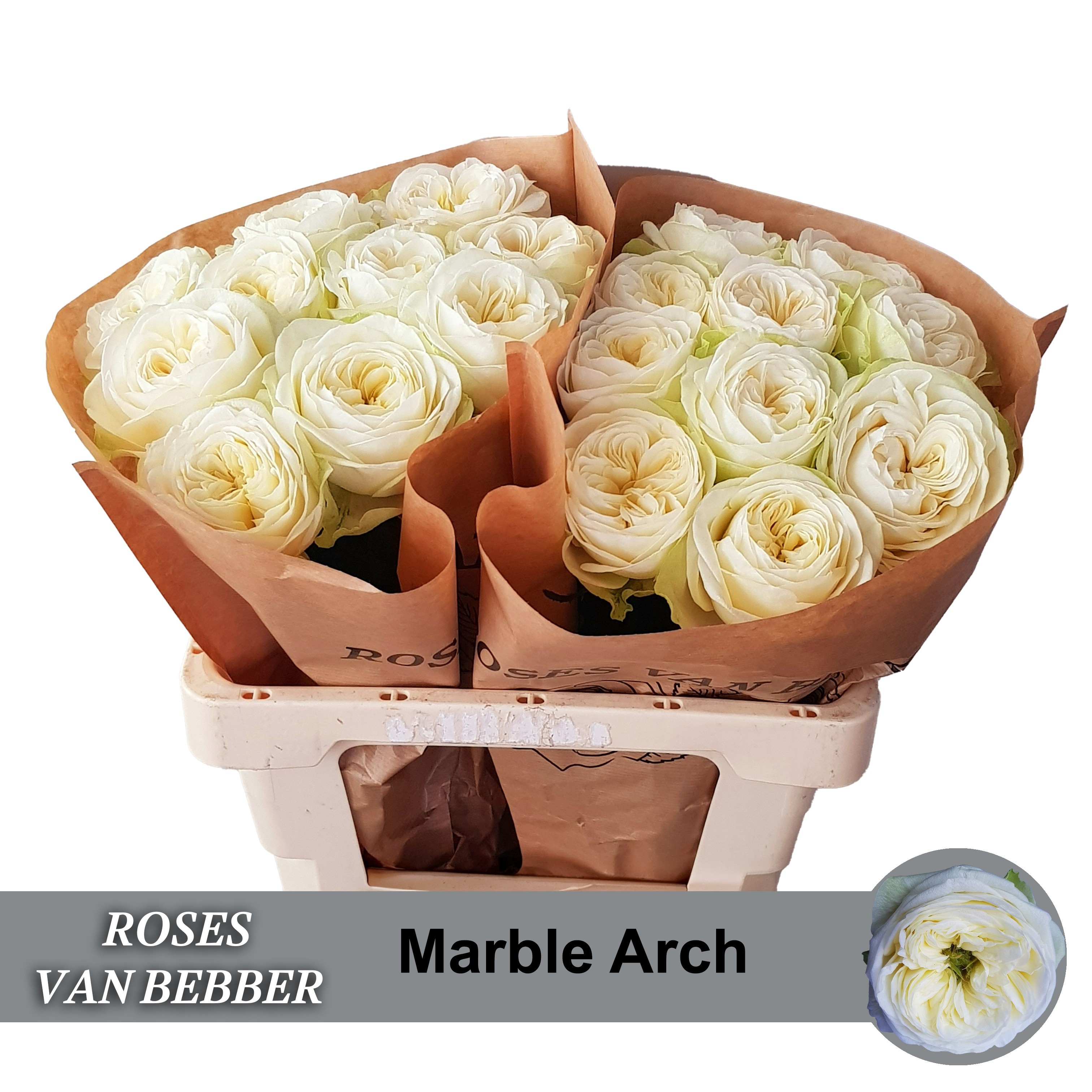 R Gr Marble Arch
