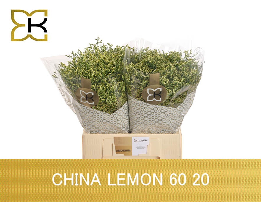 Lim Sin China Lemon