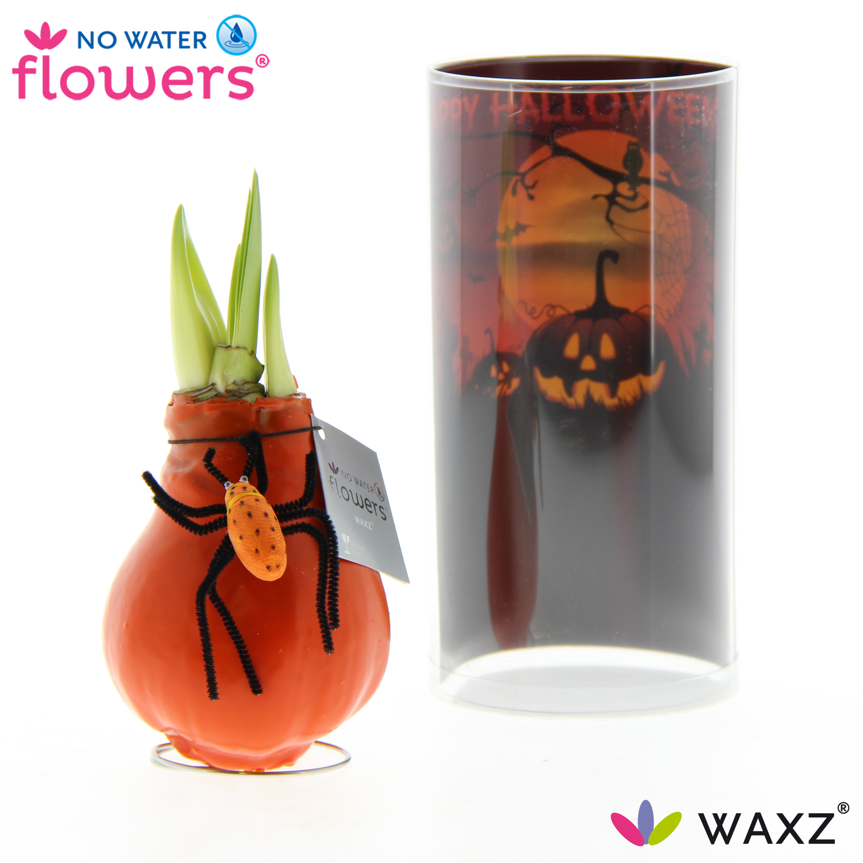 Picture of No Water Flowers Waxz® Halloween SPIN 15CM