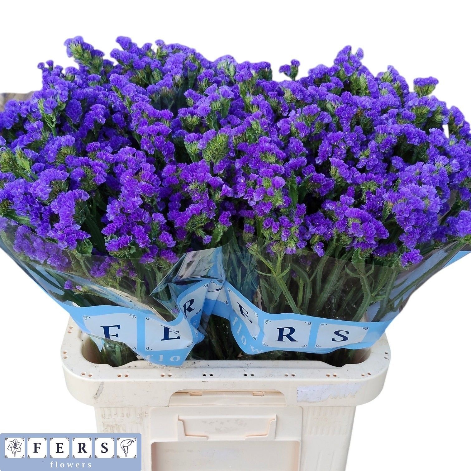Limonium St Crystal Dark Blue 70cm 46gram