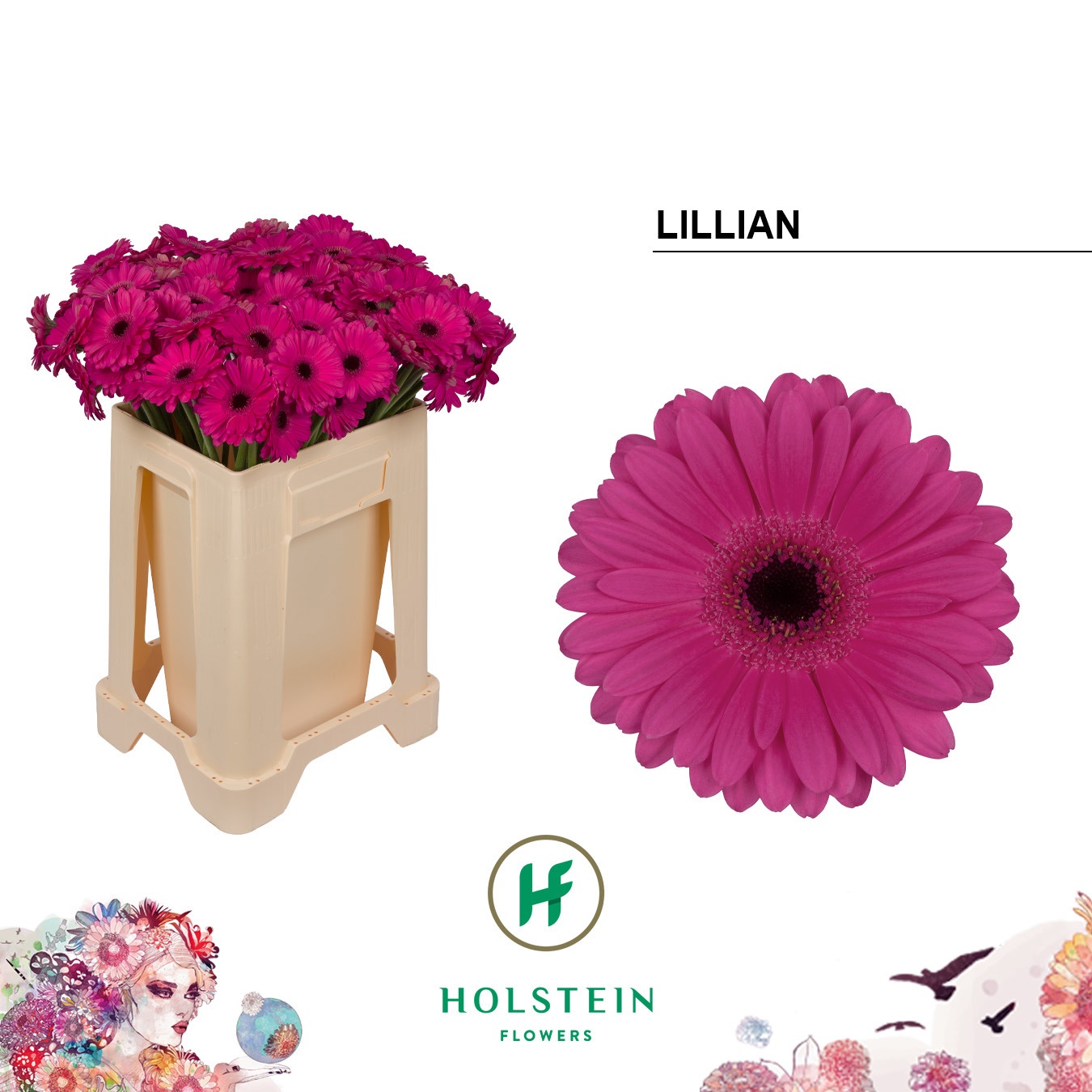 Ge Mi Lillian