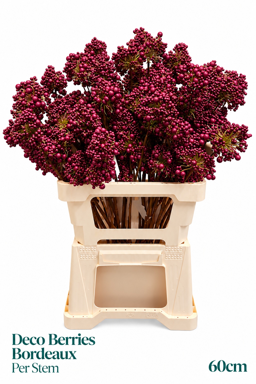 Kerst Art Ov 60L.cm
