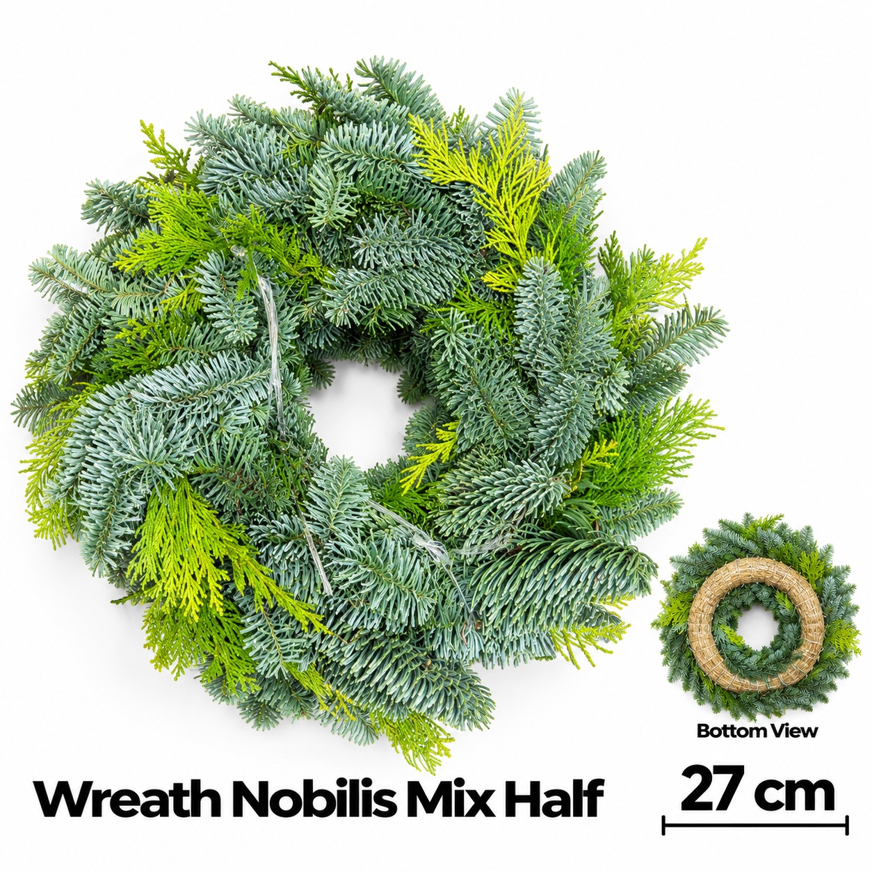 Abies Nobilis Blauw 27L.cm