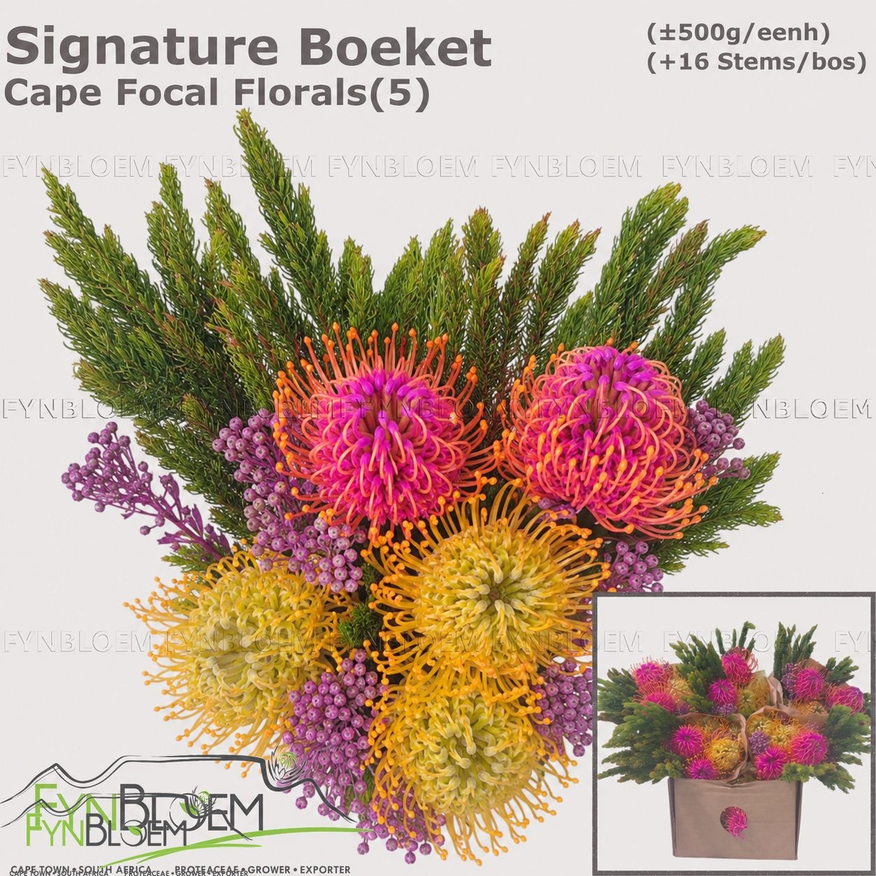 Protea Bouquet Per Bunch 40cm