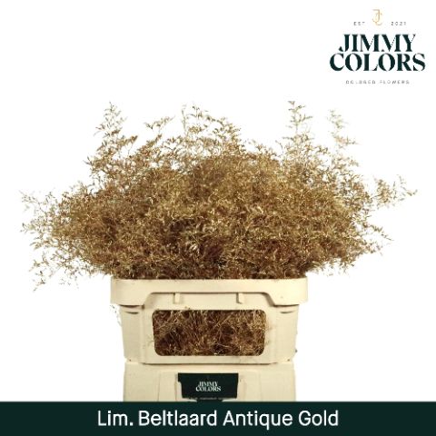 Lim Bel L90 Metallic Antique Gold