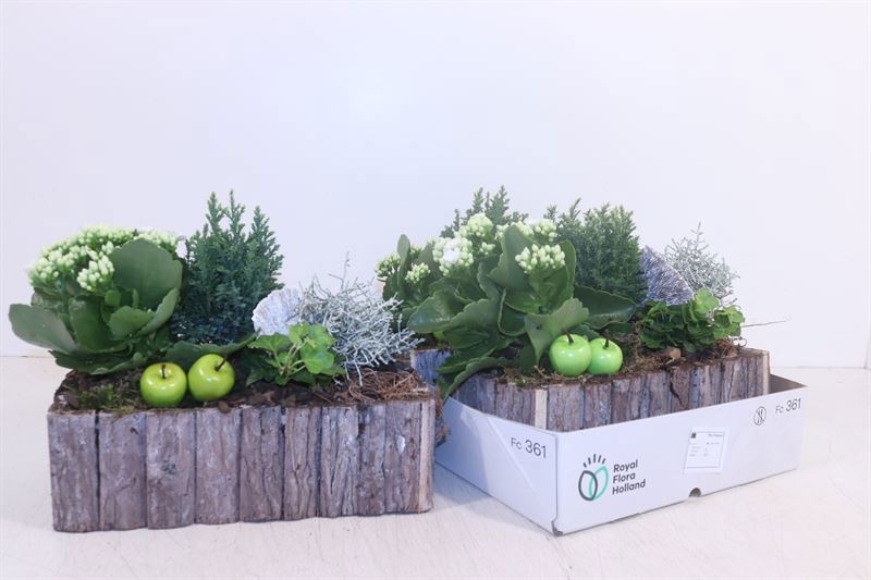 Arrangement Garden Plants 25Ø