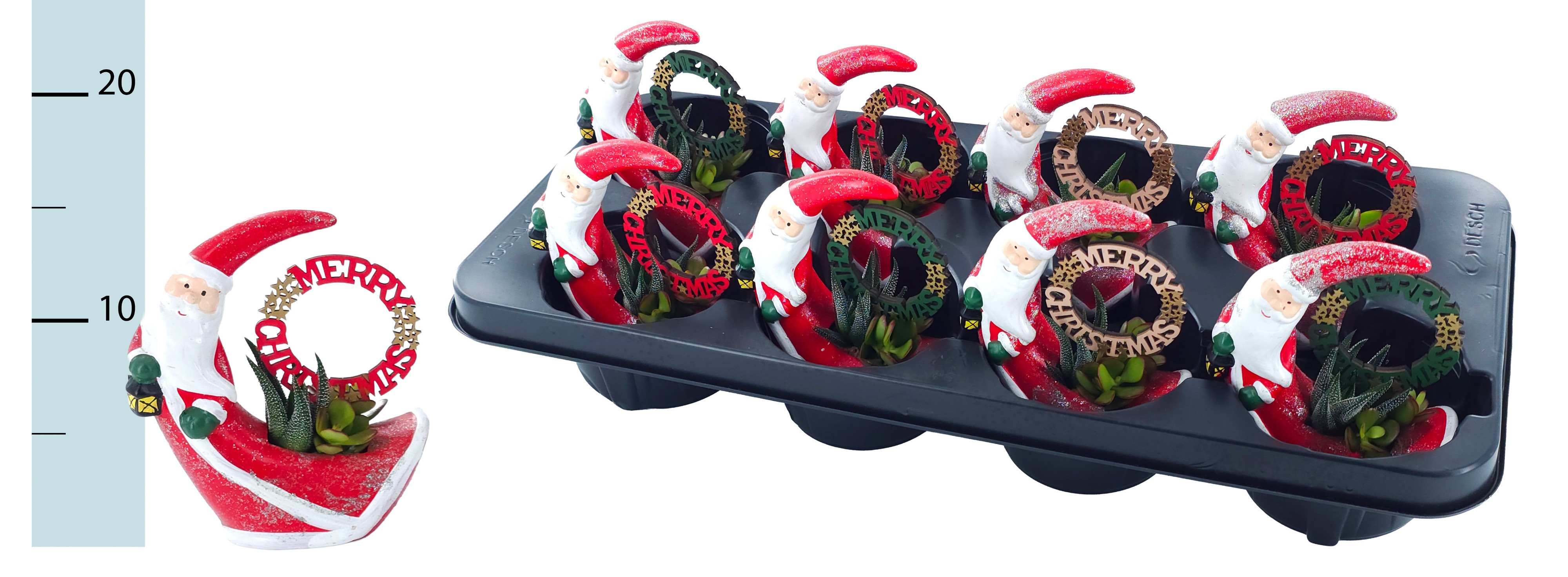 Arrangement Christmas 5Ø