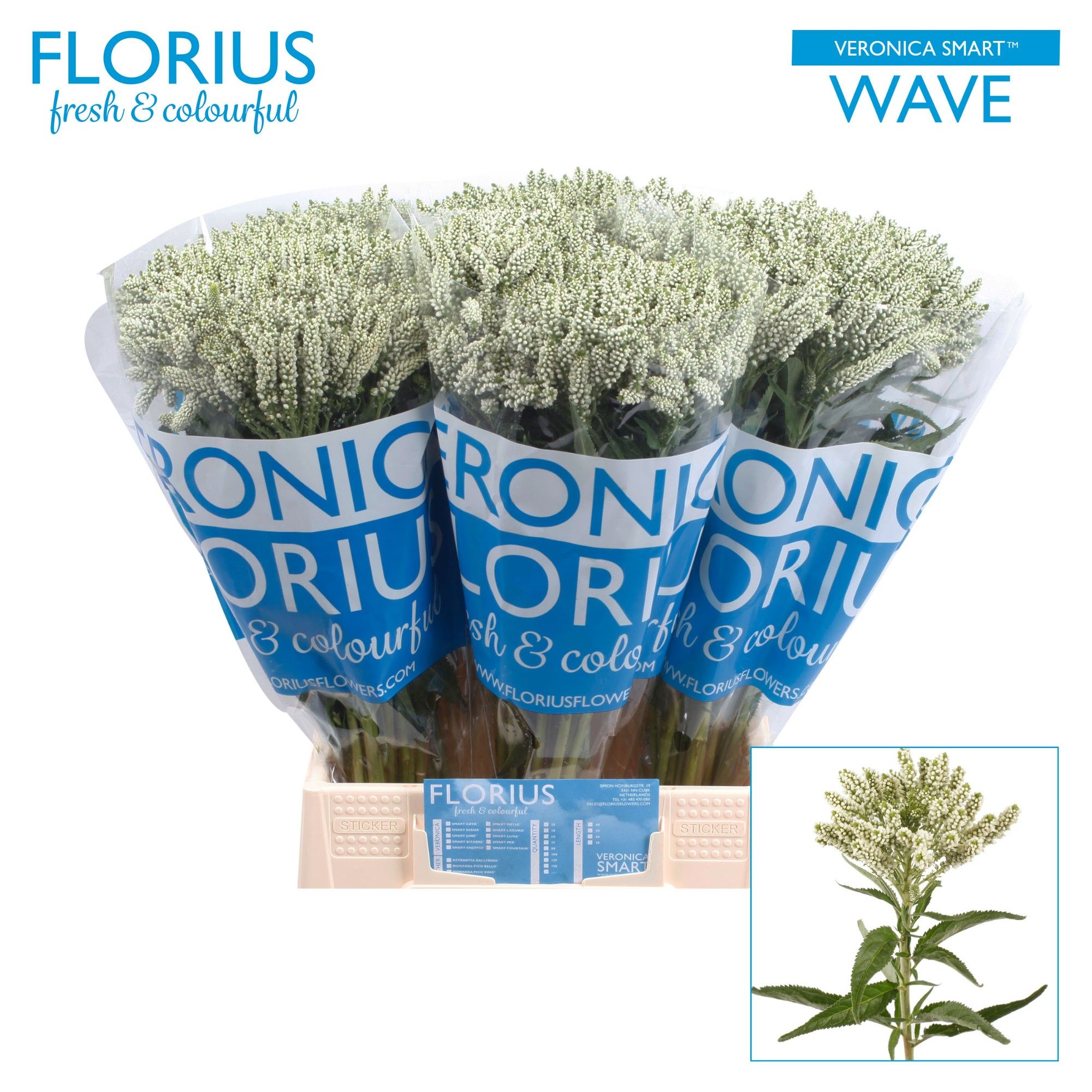 Veron Smart Wave