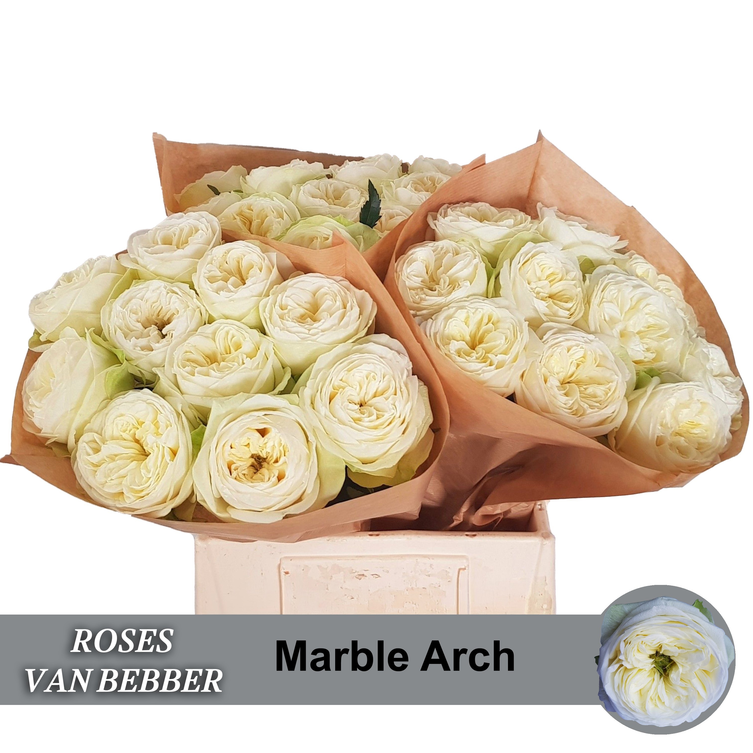R Gr Marble Arch