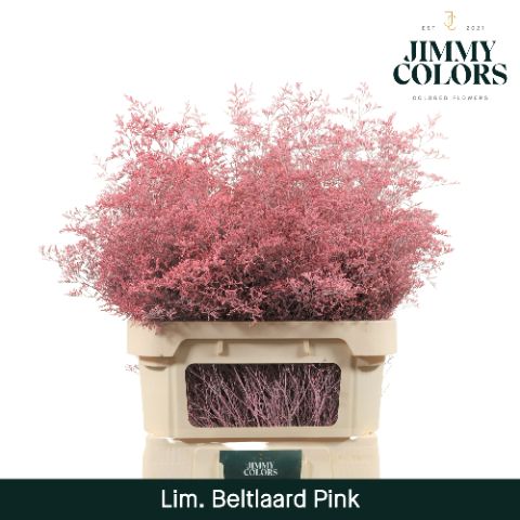 Lim Bel L90 Pink