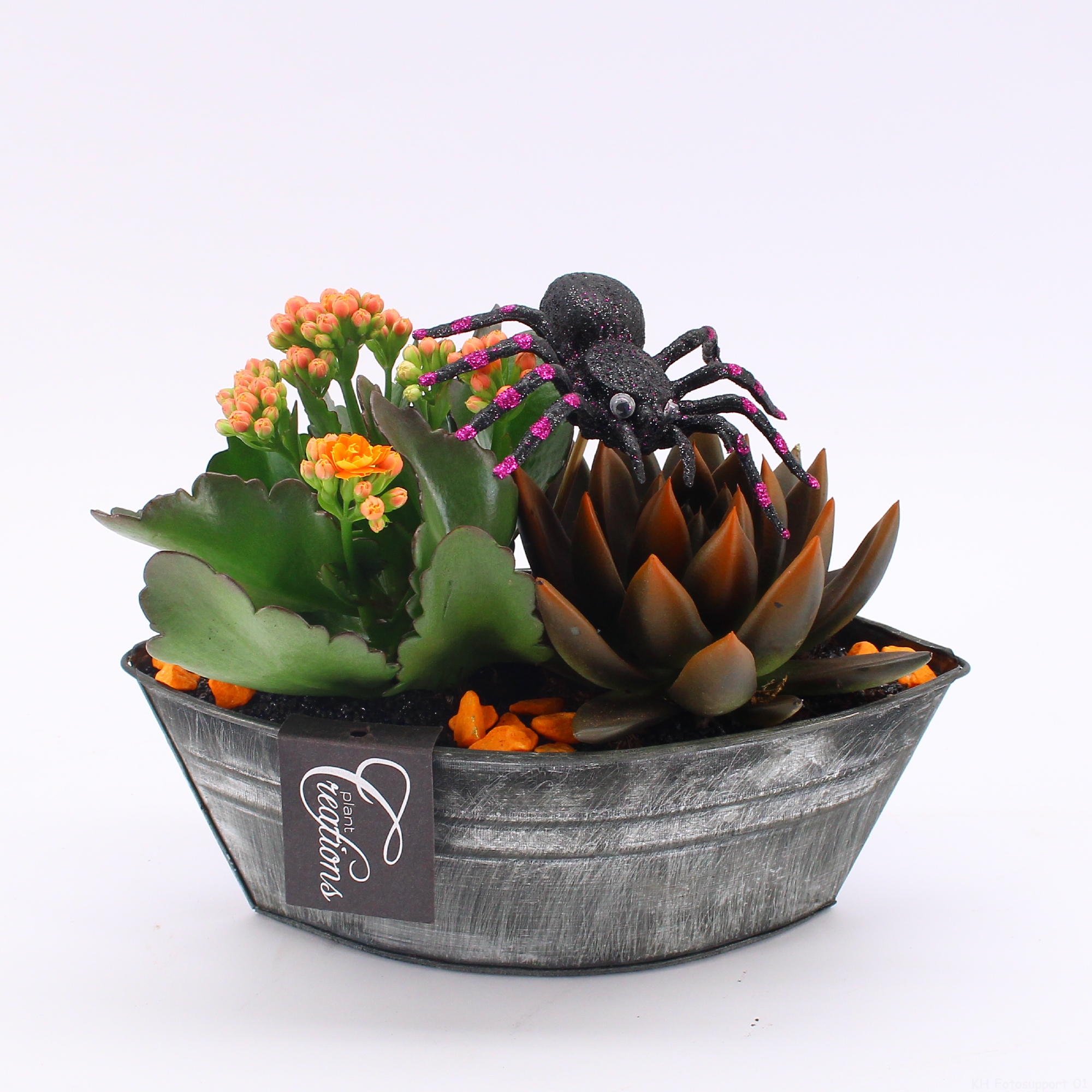 Picture of HWCR-2408 Halloween arrangement P22 20CM