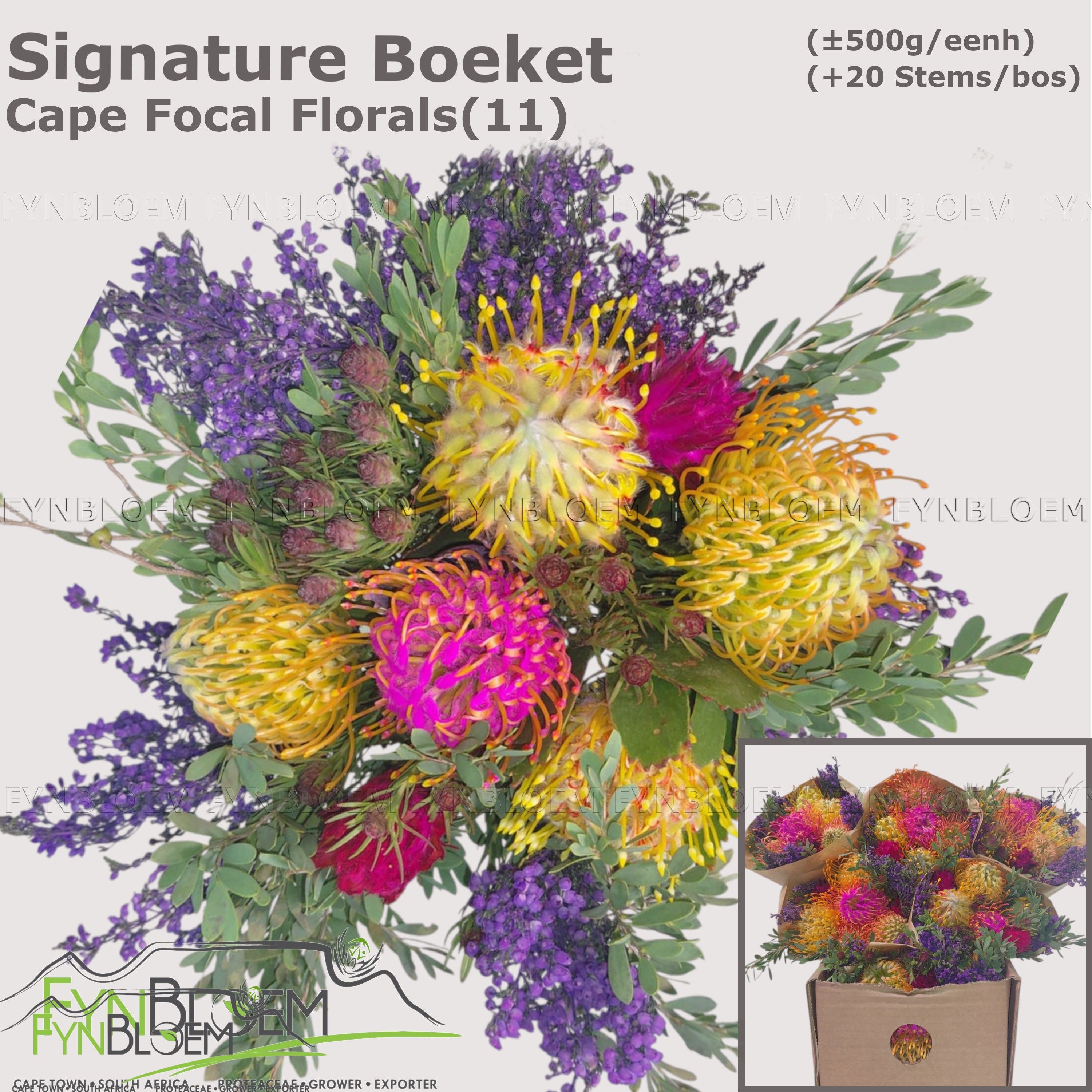 Protea Bouquet Per Bunch 40cm