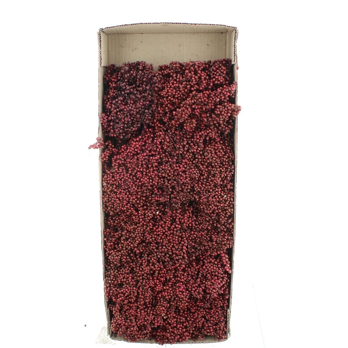 Schinus M Dec Bes Bs 30cm 200gram