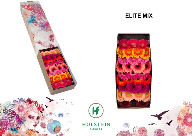 Ge Mi Elite Mix Gem